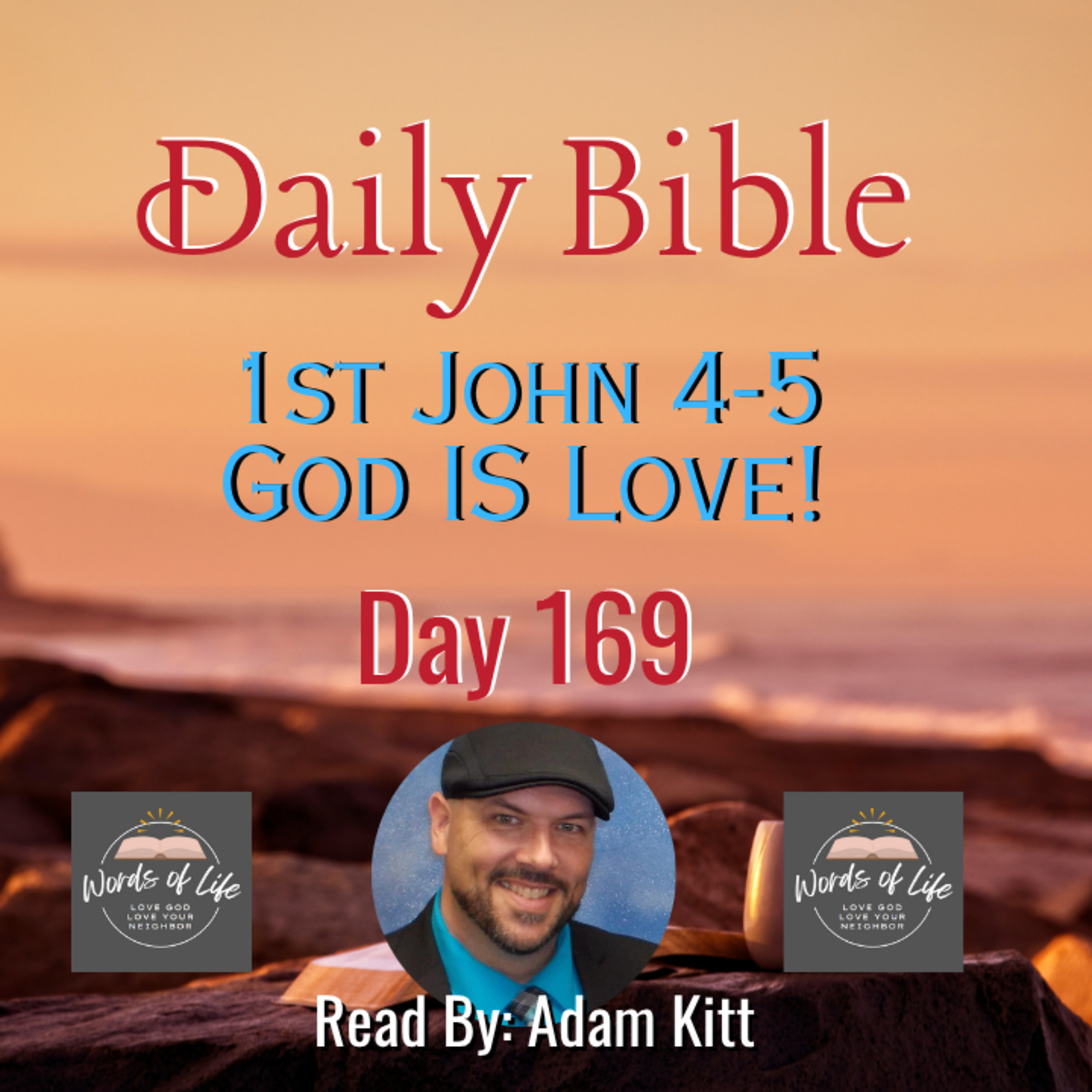 Are You Really Loving Like God? – Day 169 – Daily Bible – 1 John 4-5 episode artwork