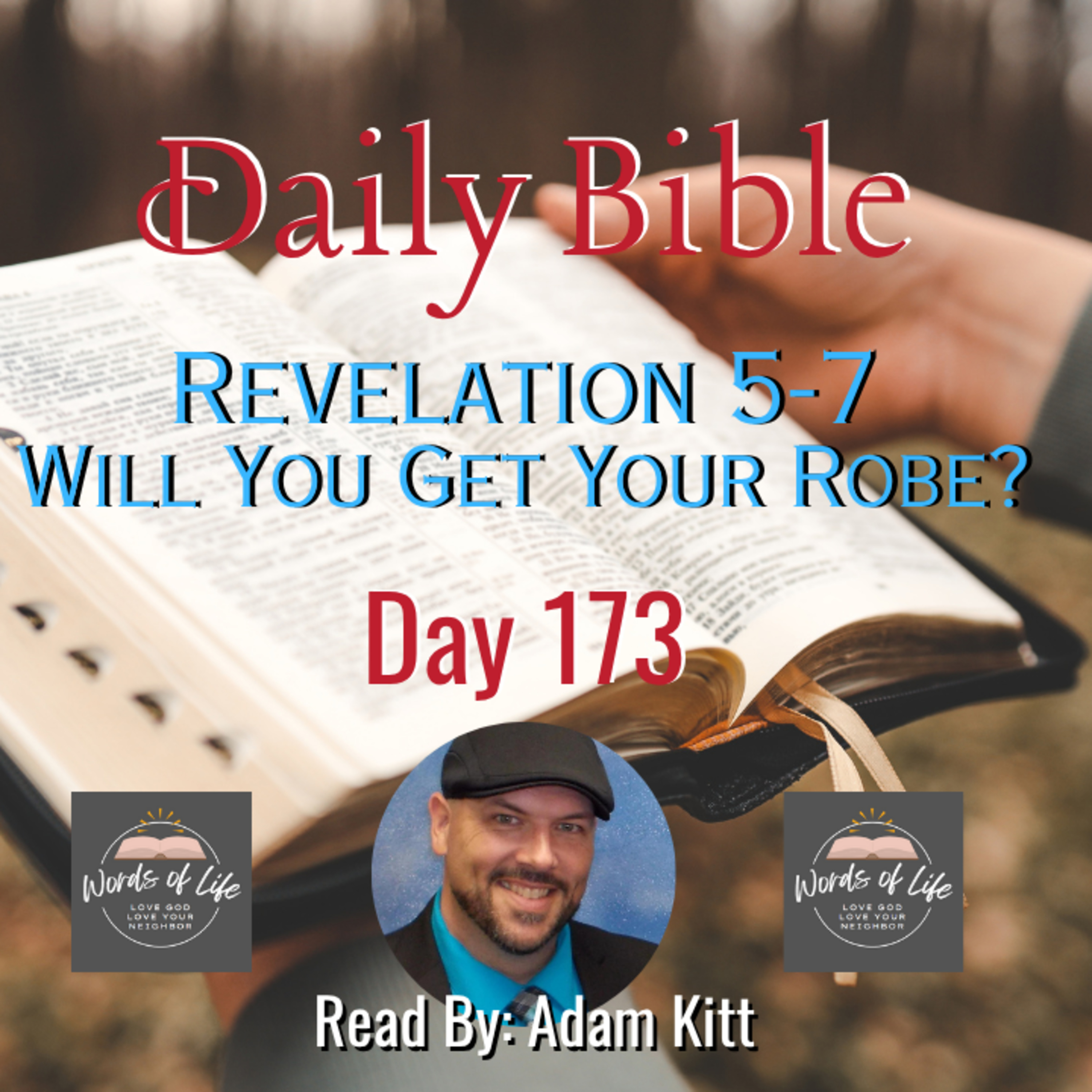 Will You Endure the Trials and Receive the White Robe? – Day 173 – Daily Bible – Revelation 5-7 episode artwork