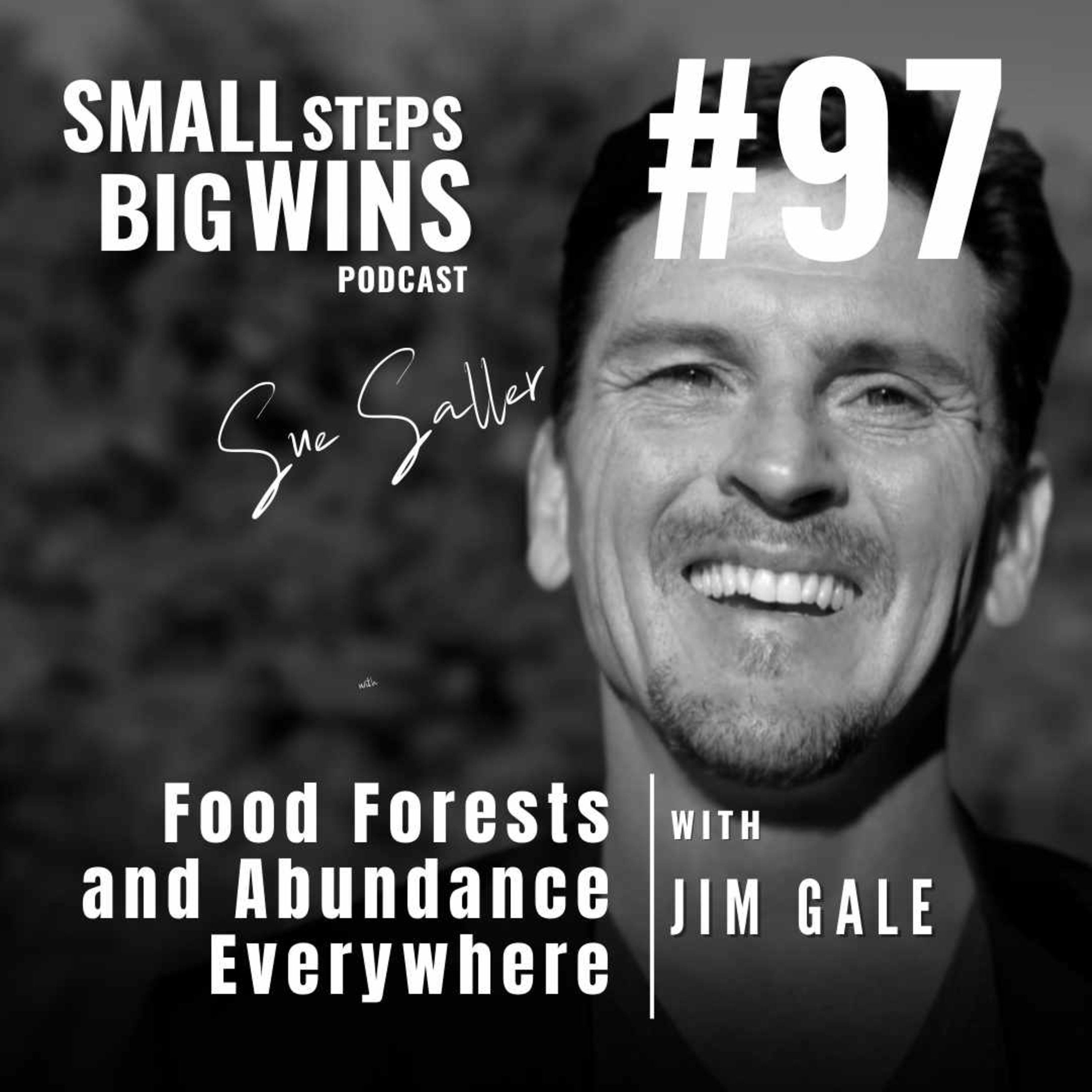 Small Steps Big Wins©