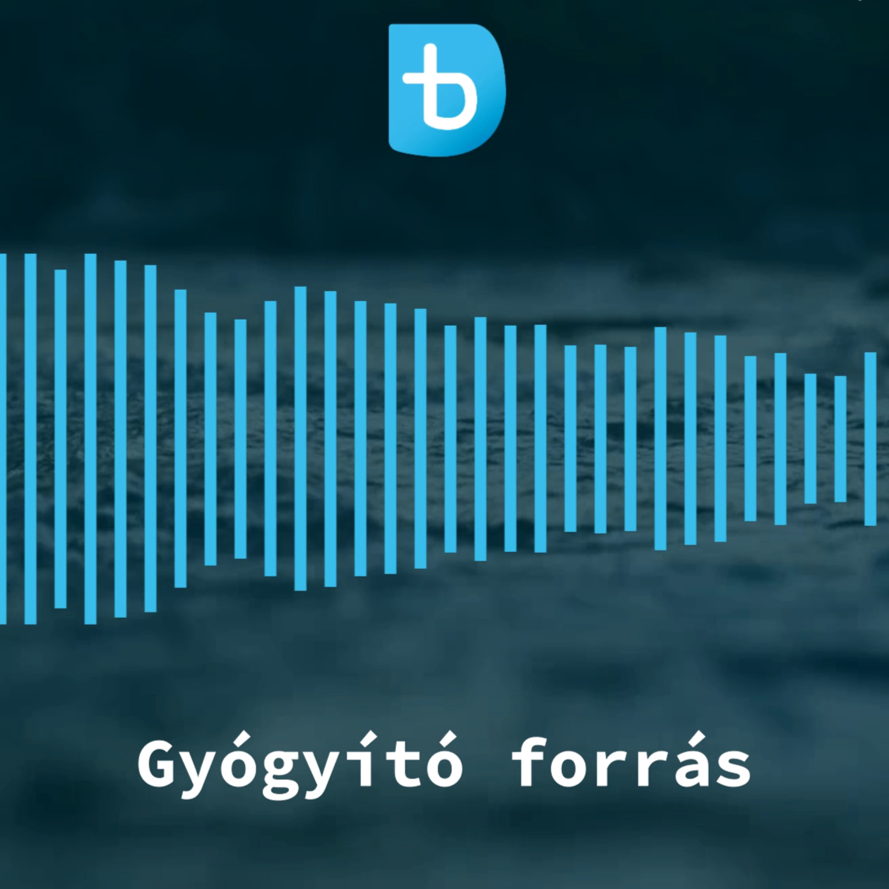 Debreceni Baptista
