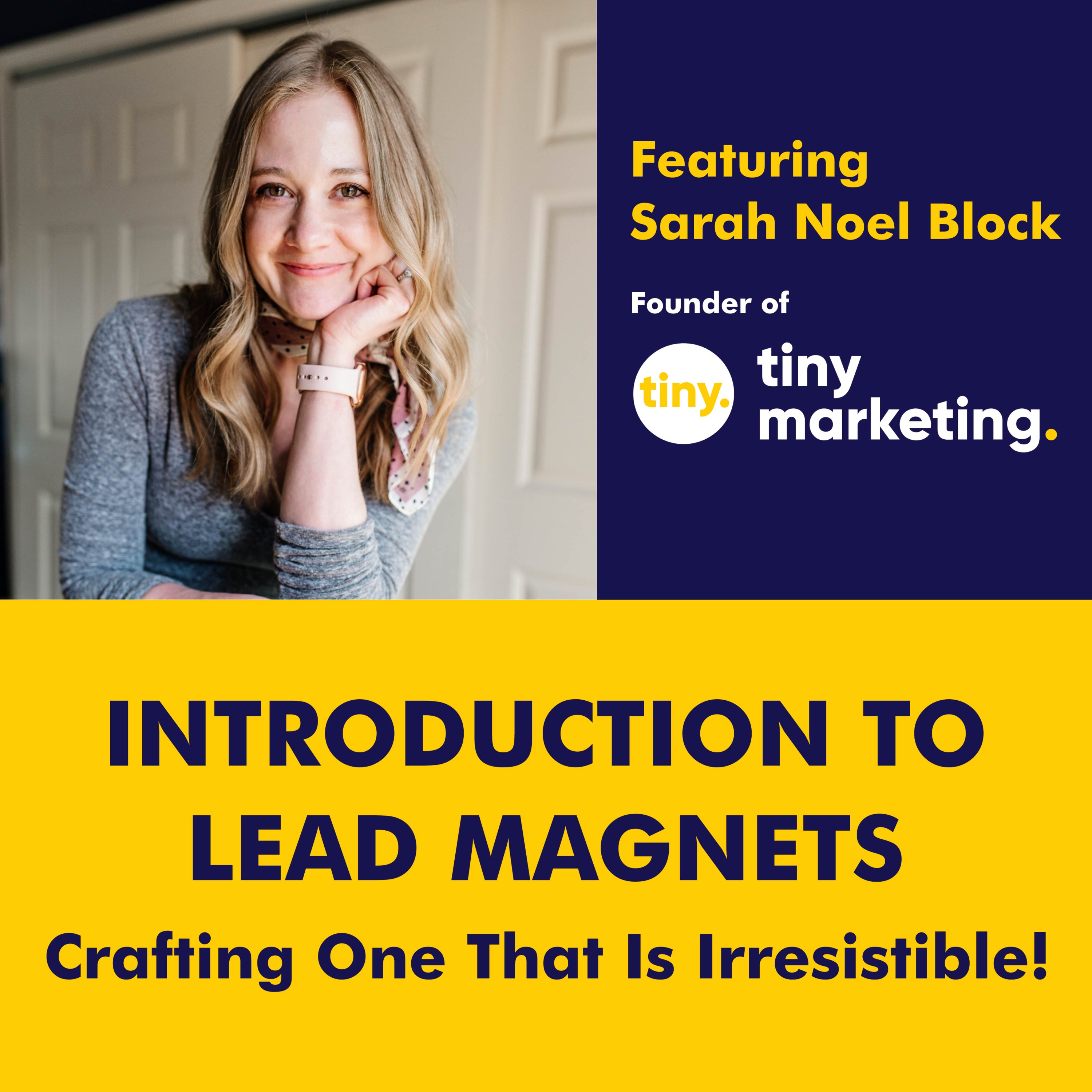 Episode 73: Introduction to Lead Magnets: Crafting One That Is Irresistible episode artwork