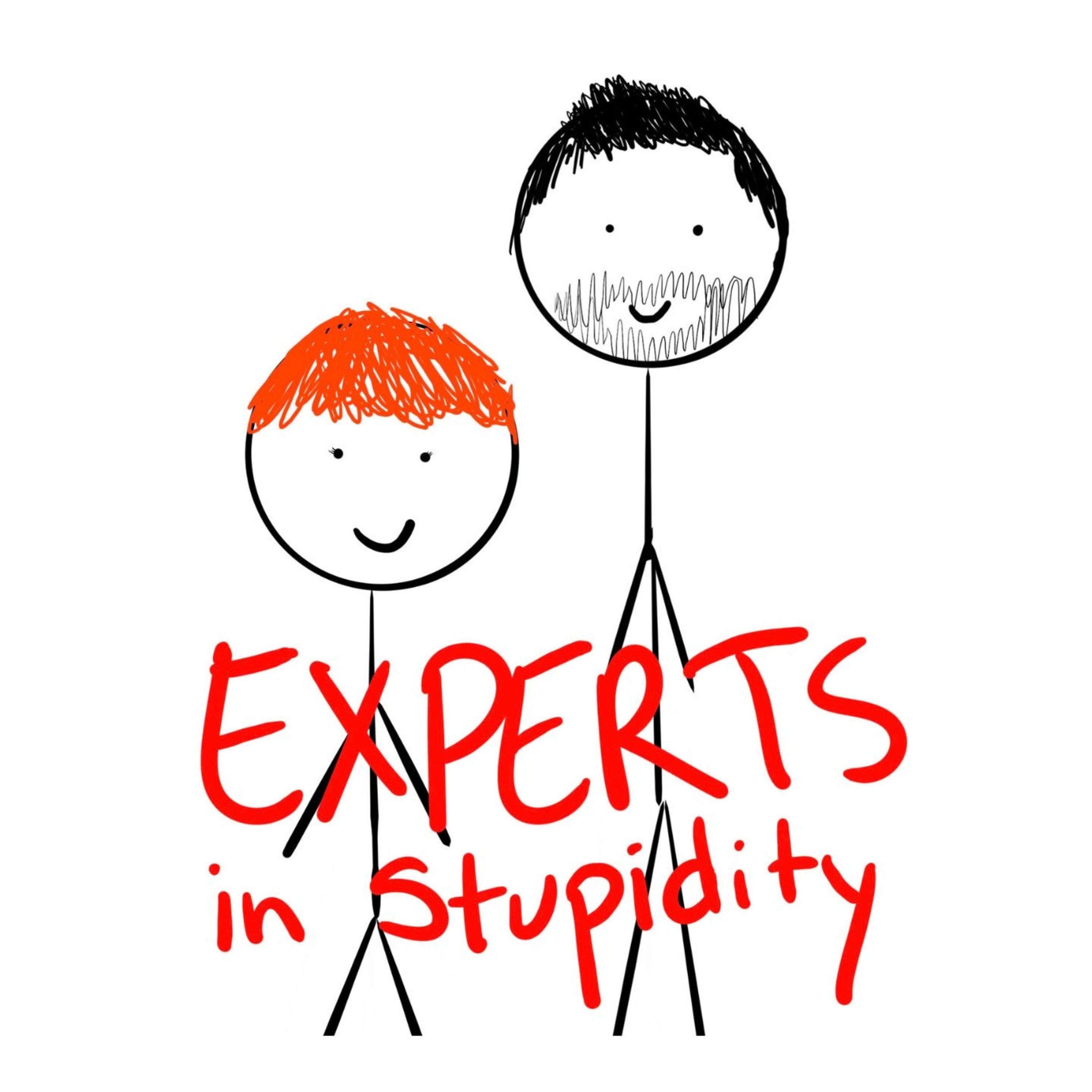 Experts in Stupidity