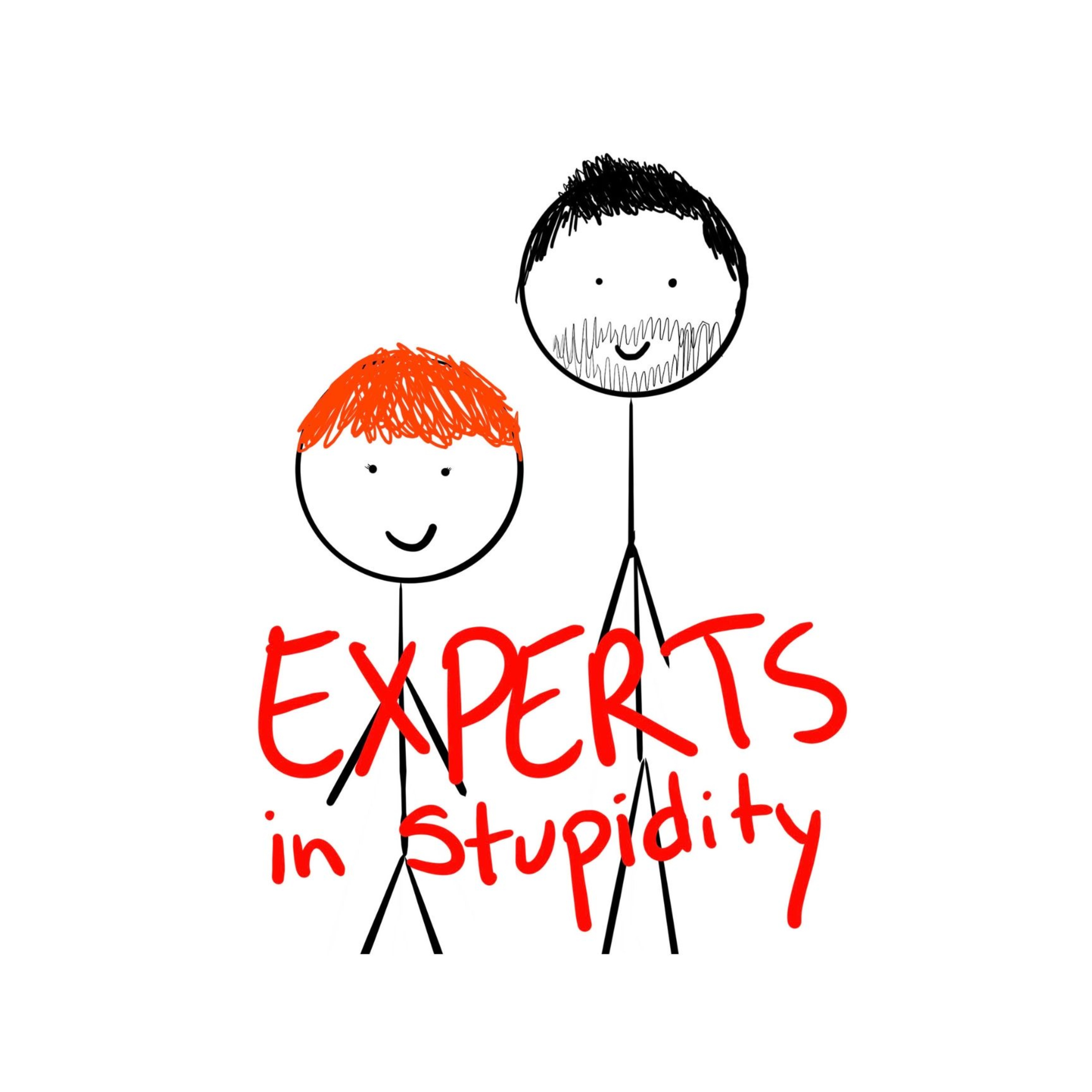 Experts in Stupidity