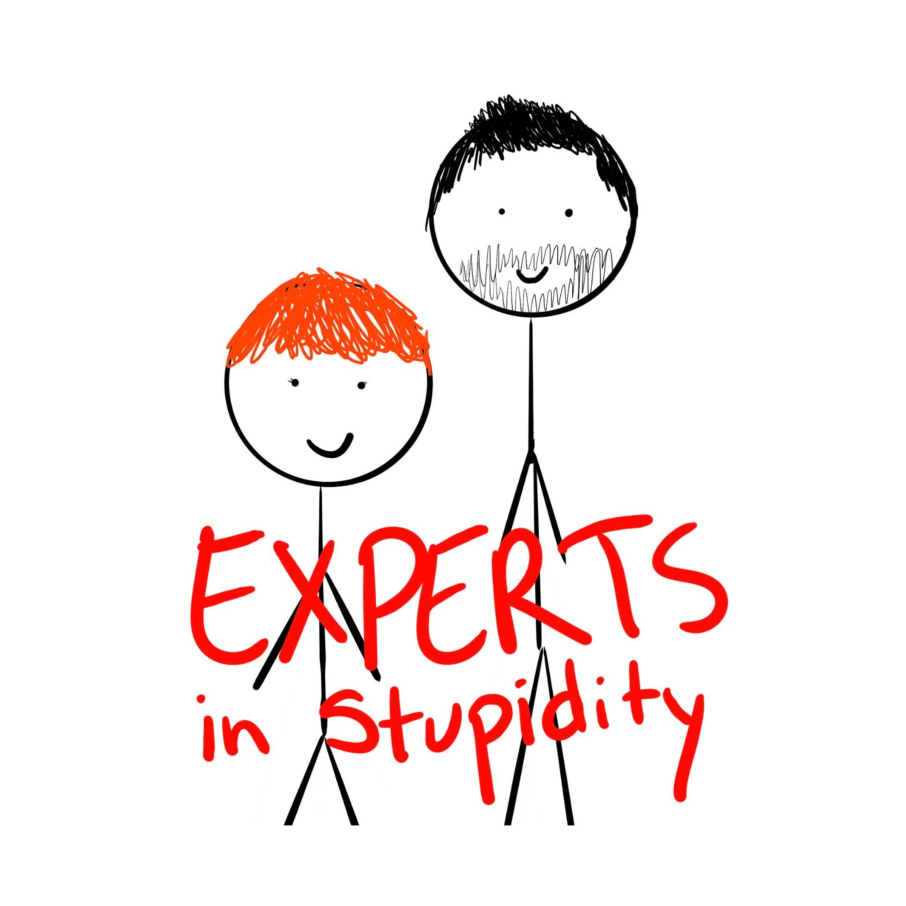 Experts in Stupidity