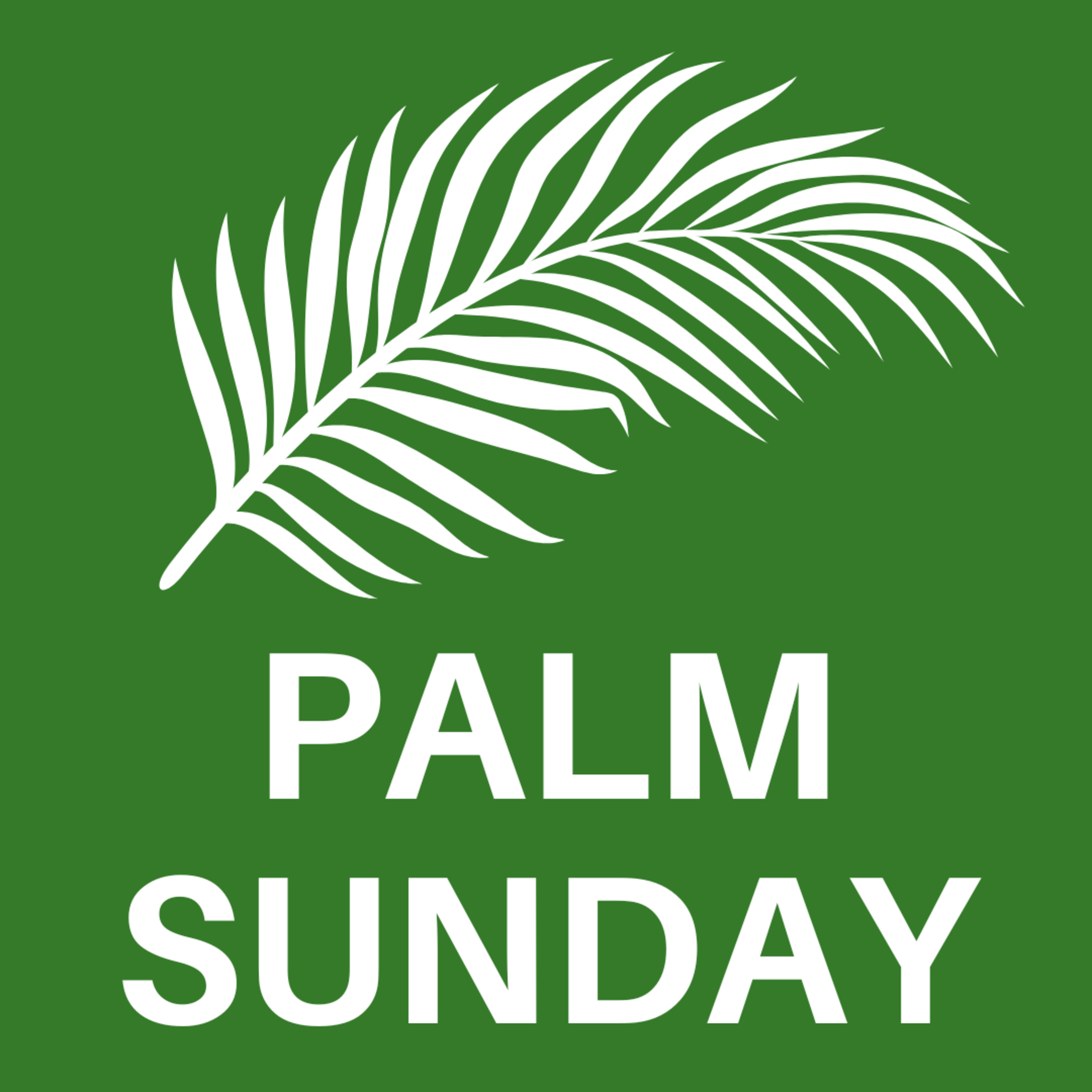 Palm Sunday (3-29-26) episode artwork