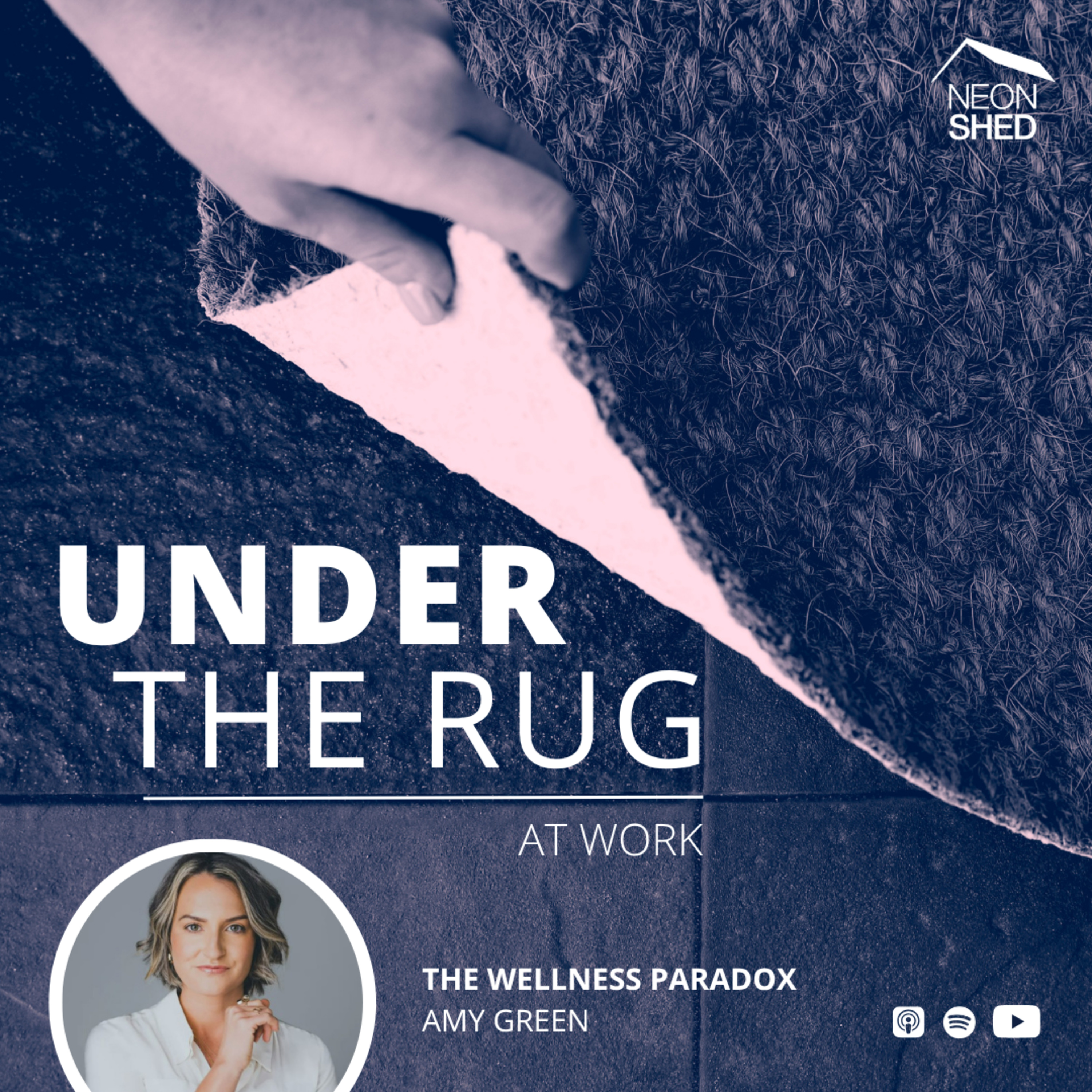 The Wellness Paradox with Amy Green episode artwork