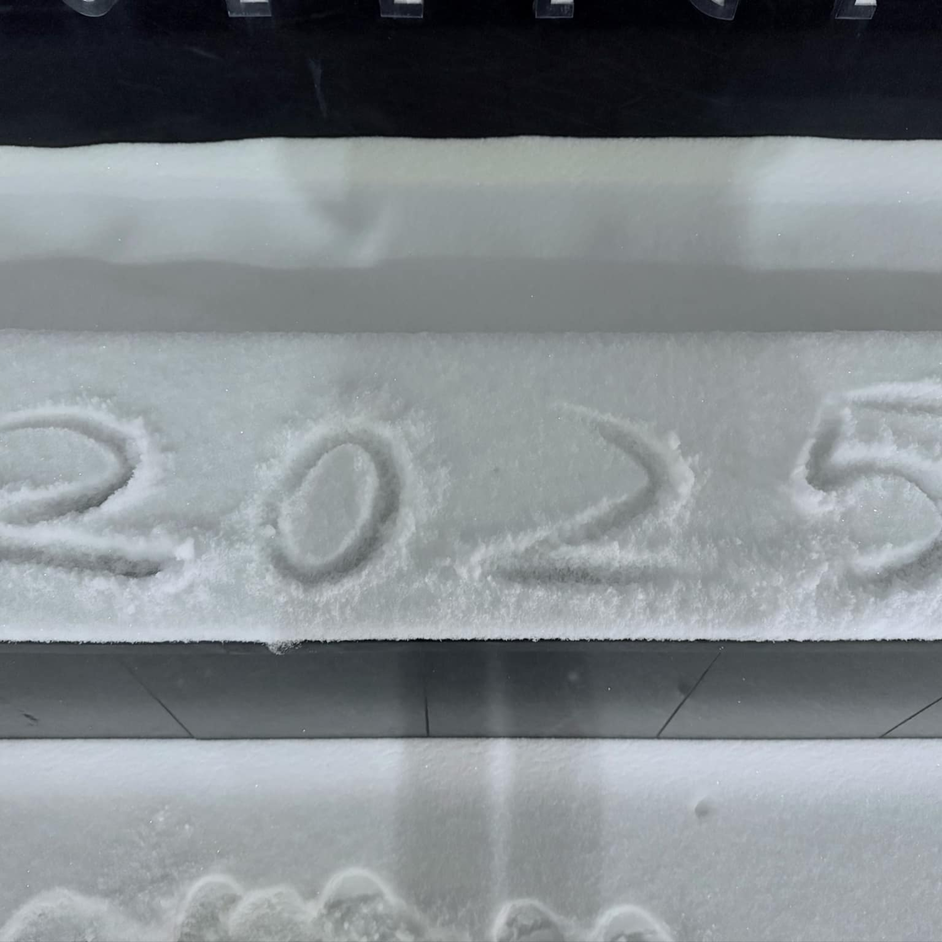 New Year Resolution | 新年计划