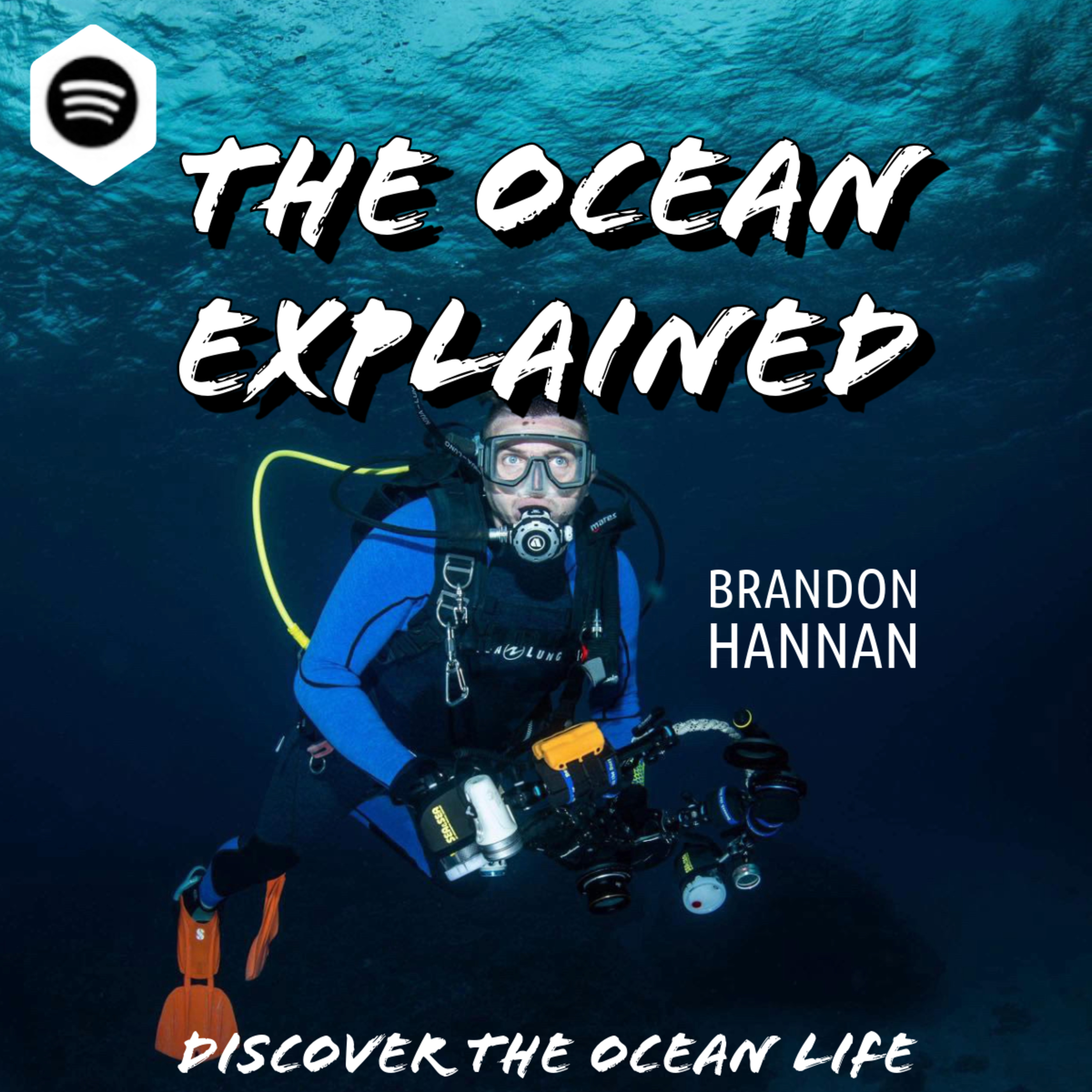 GUEST I The Hawaiian and Japanese Marine Life through the Lens of Brandon Hannan - Award-winning underwater Photographer, Species Discoverer and Professional Diver episode artwork