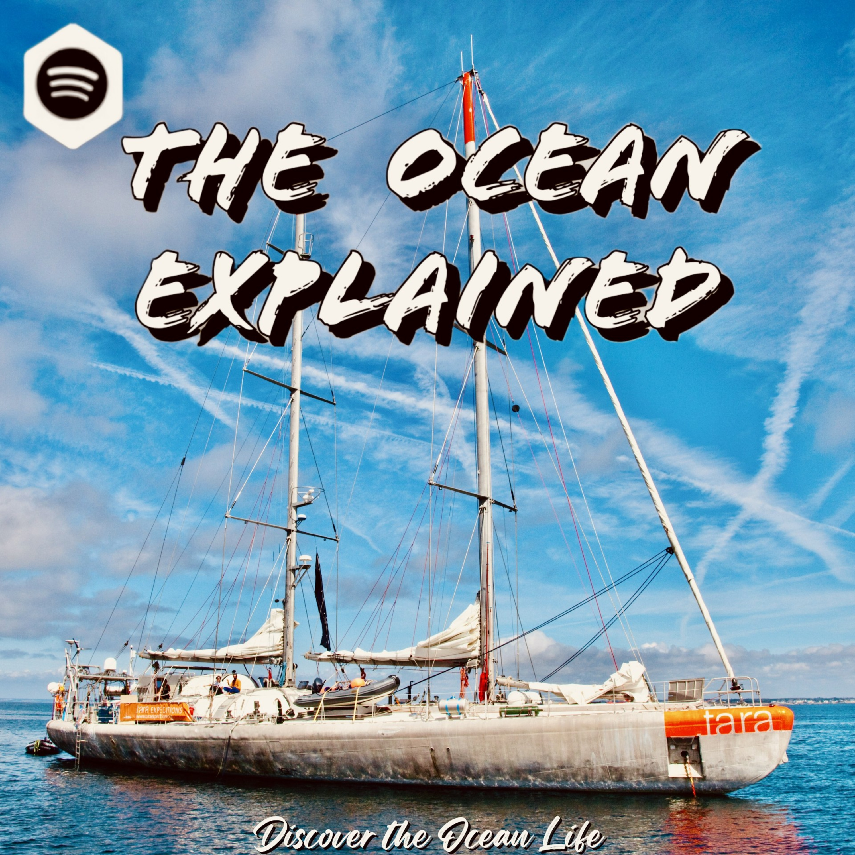 TIDE TALK I eDNA : How We can Track Fish Without actually Catching Them  episode artwork