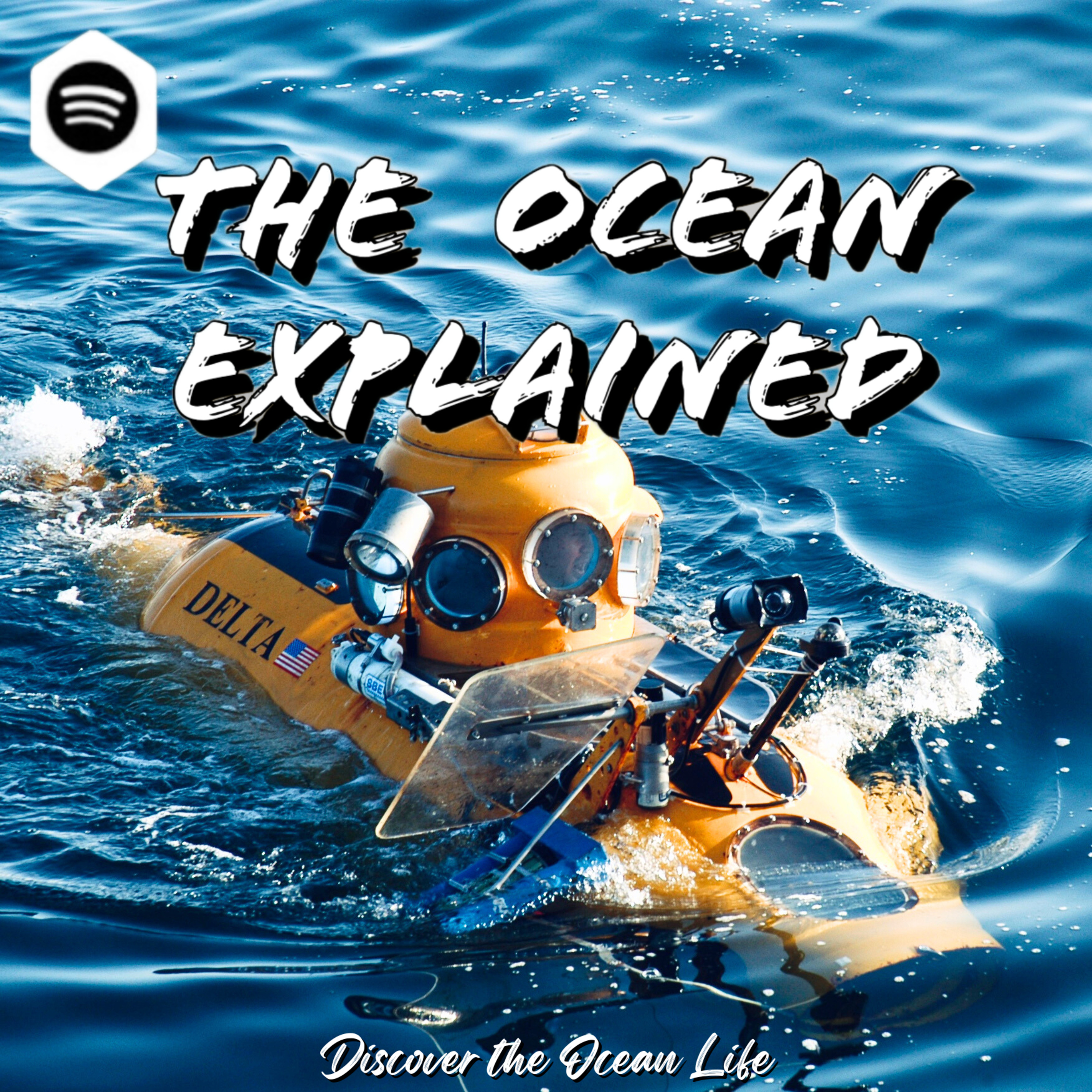 TIDE TALK | Why the Deep Sea is Louder than you Think episode artwork