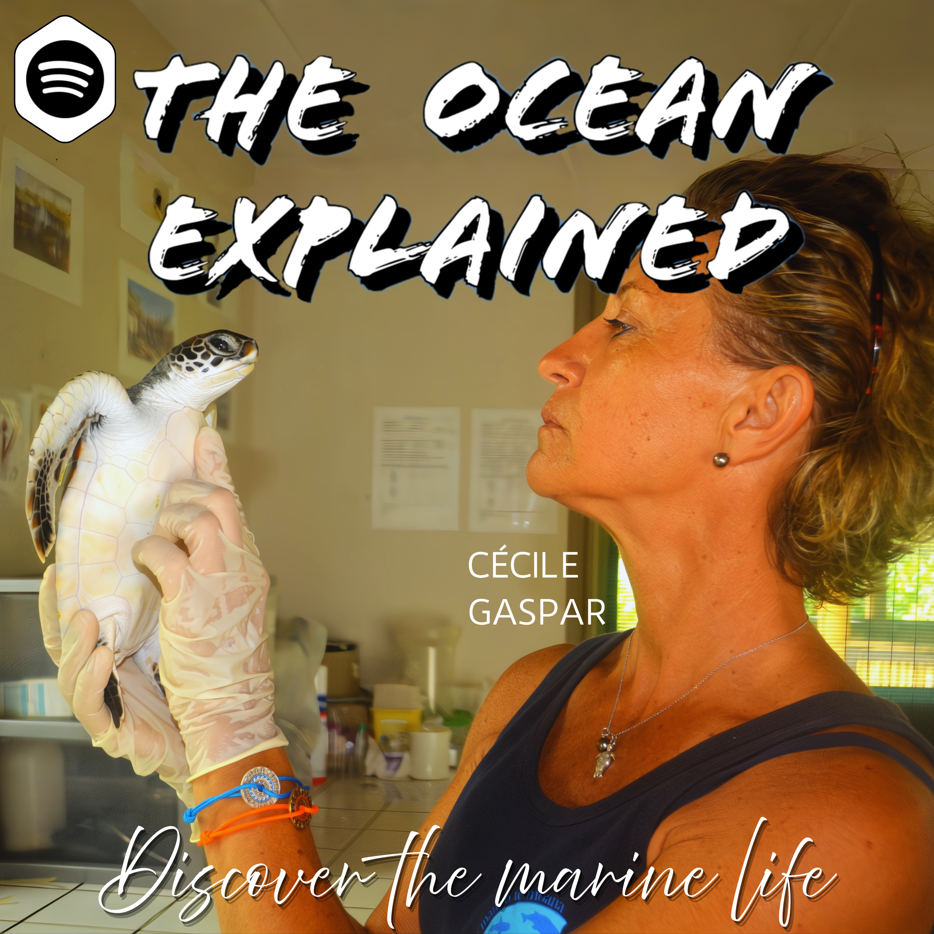 GUEST | Emergencies, rehab, and releases at the Sea Turtle Clinic with Cécile Gaspar - Eminent marine veterinarian on Tetiaroa Island, and her role in building Te Mana o te Moana from the ground up episode artwork
