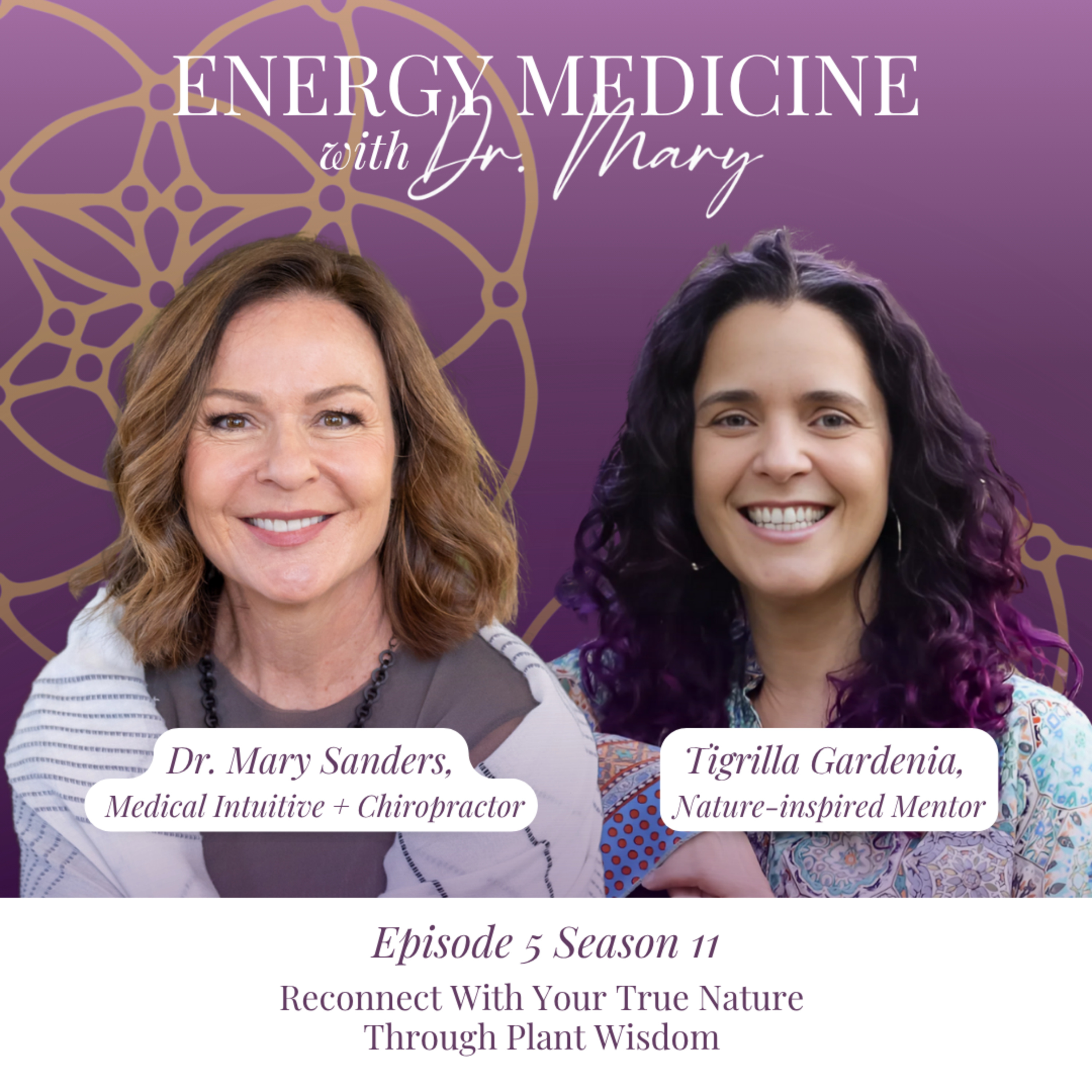 Energy Medicine: Align Your Mind, Body, and Spirit!