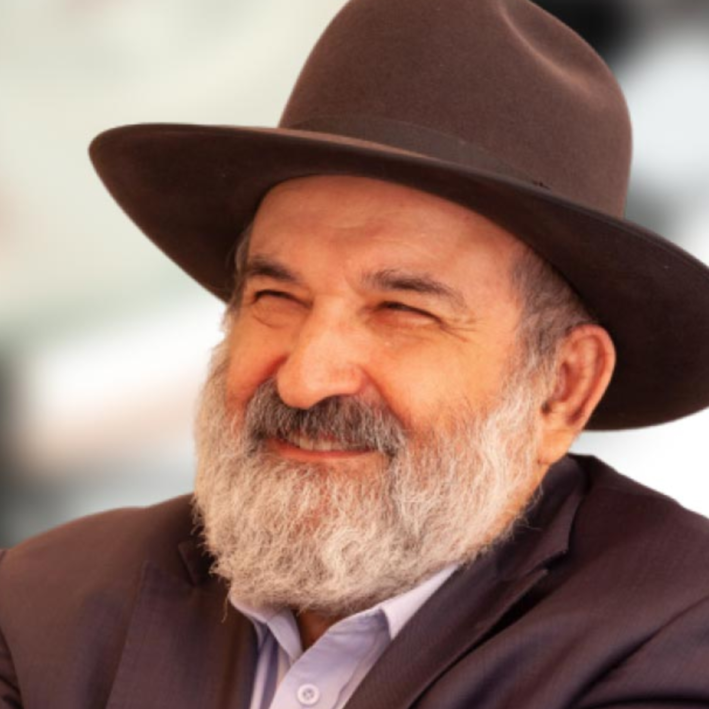 הרב ד"ר אליהו זיני – חטא המרגלים: משמעותו והשלכותיו לדור הגאולה episode artwork