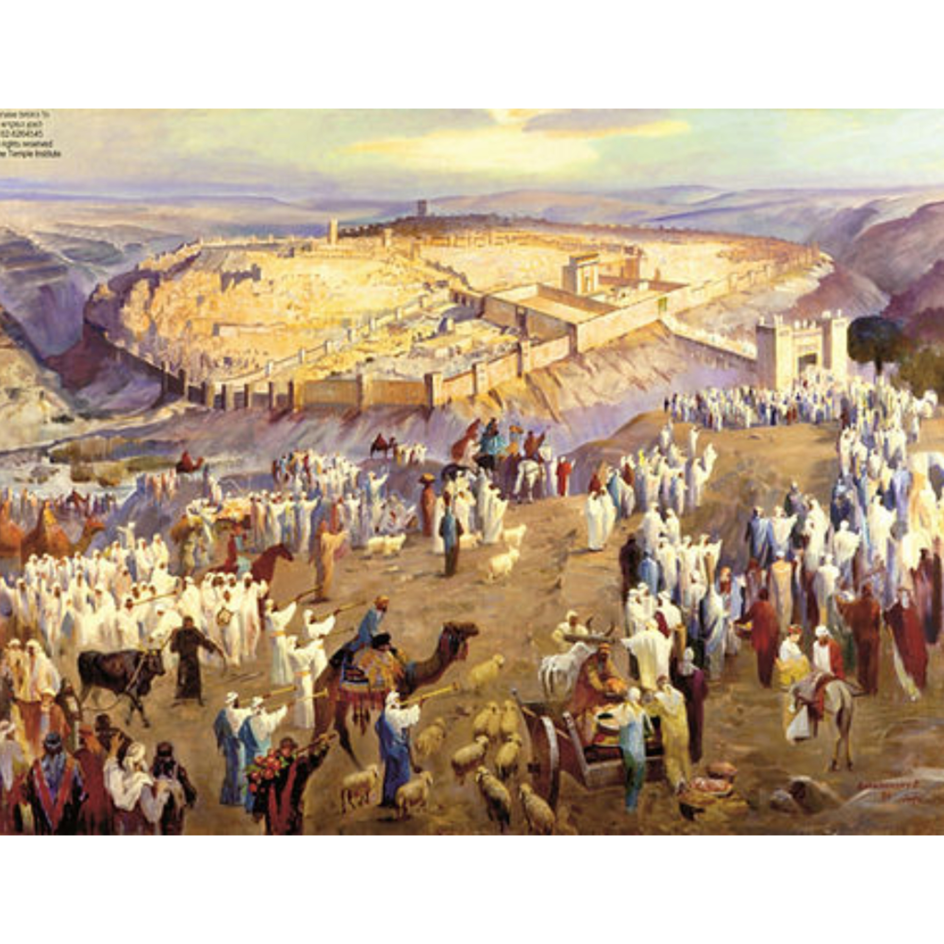 אברהם גולדשטיין- פרשת בלק: לראות את העתיד, להאמין באמת episode artwork