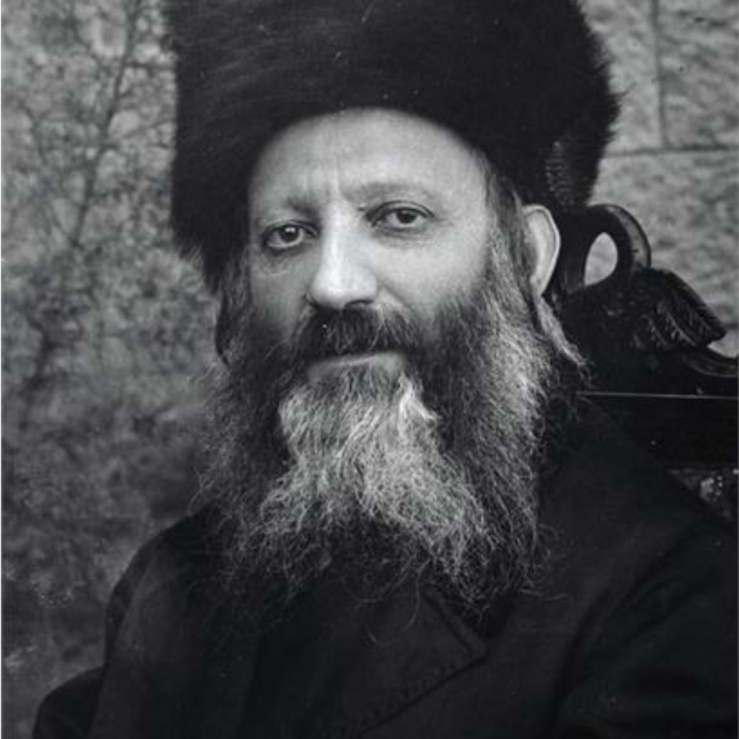 הראי"ה זצ"ל מדבר שור כג: יוסף - למה כל ישראל נקראים על שמו ומה זה מגלה על הגאולה episode artwork