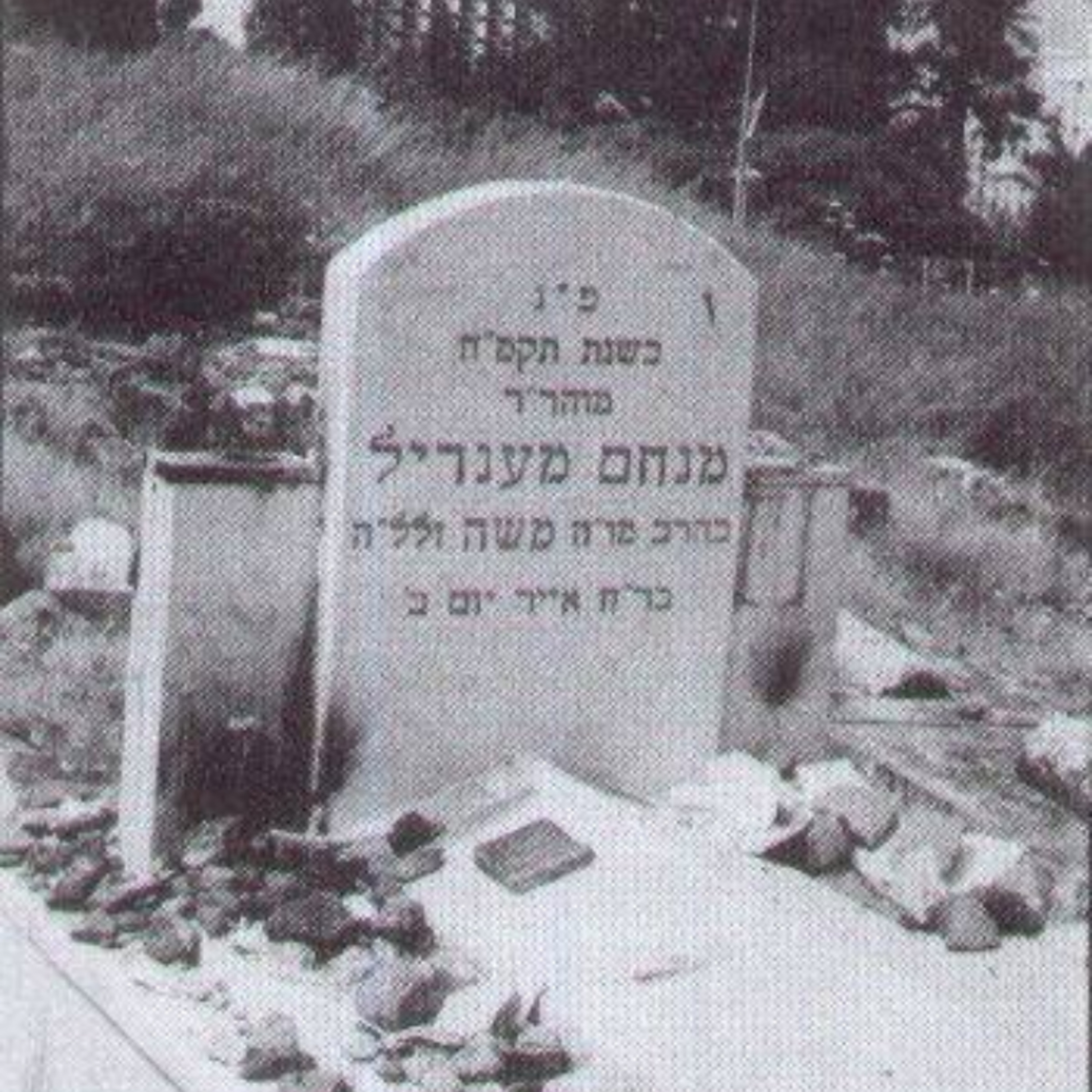 רבי מנחם מנדל מוויטבסק: מנהיגות, חסידות ועלייה לארץ ישראל episode artwork