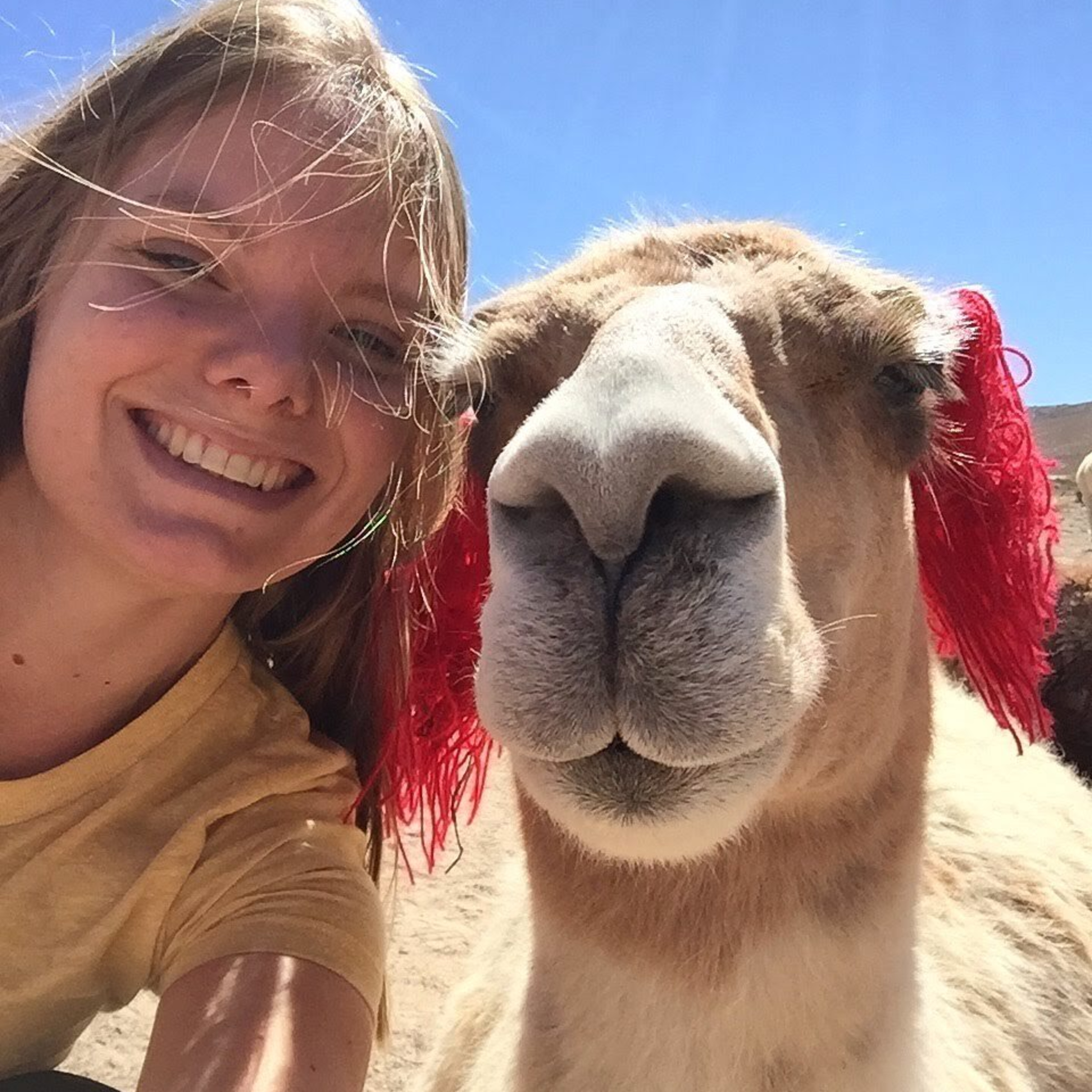 Tout le monde peut s\'engager !