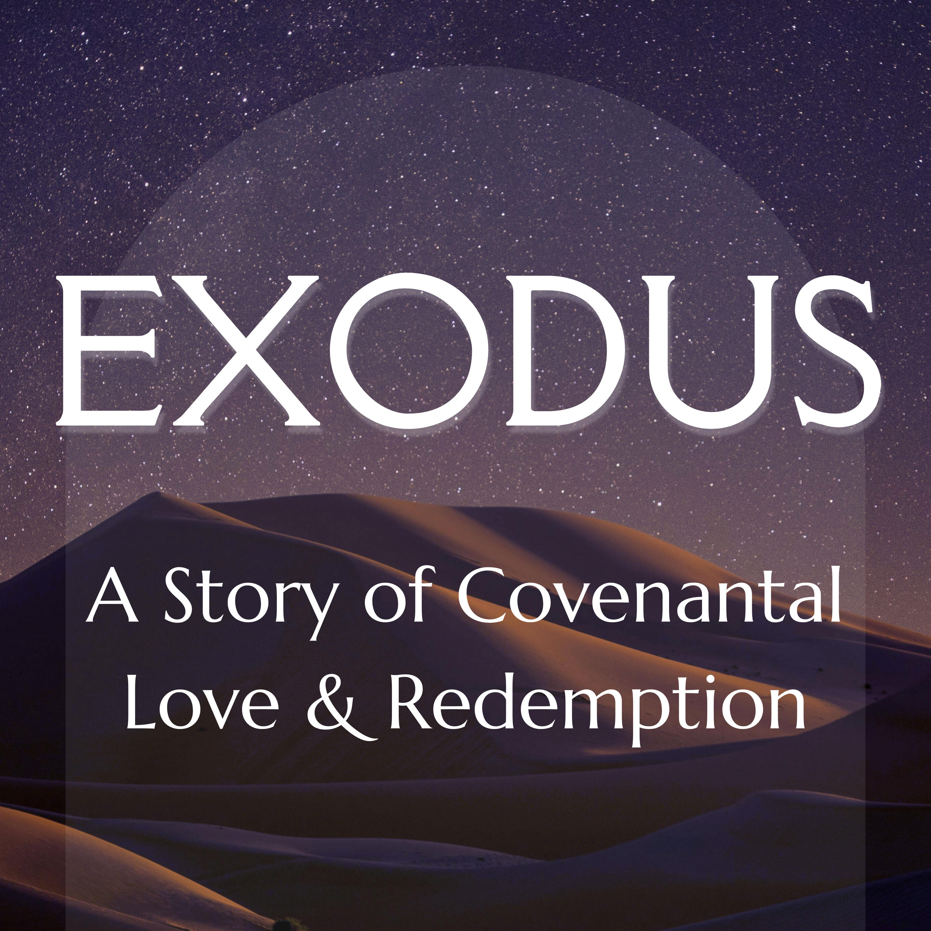 HE HAS COME DOWN TO DELIVER & BLESS YOU - Exodus 3 episode artwork