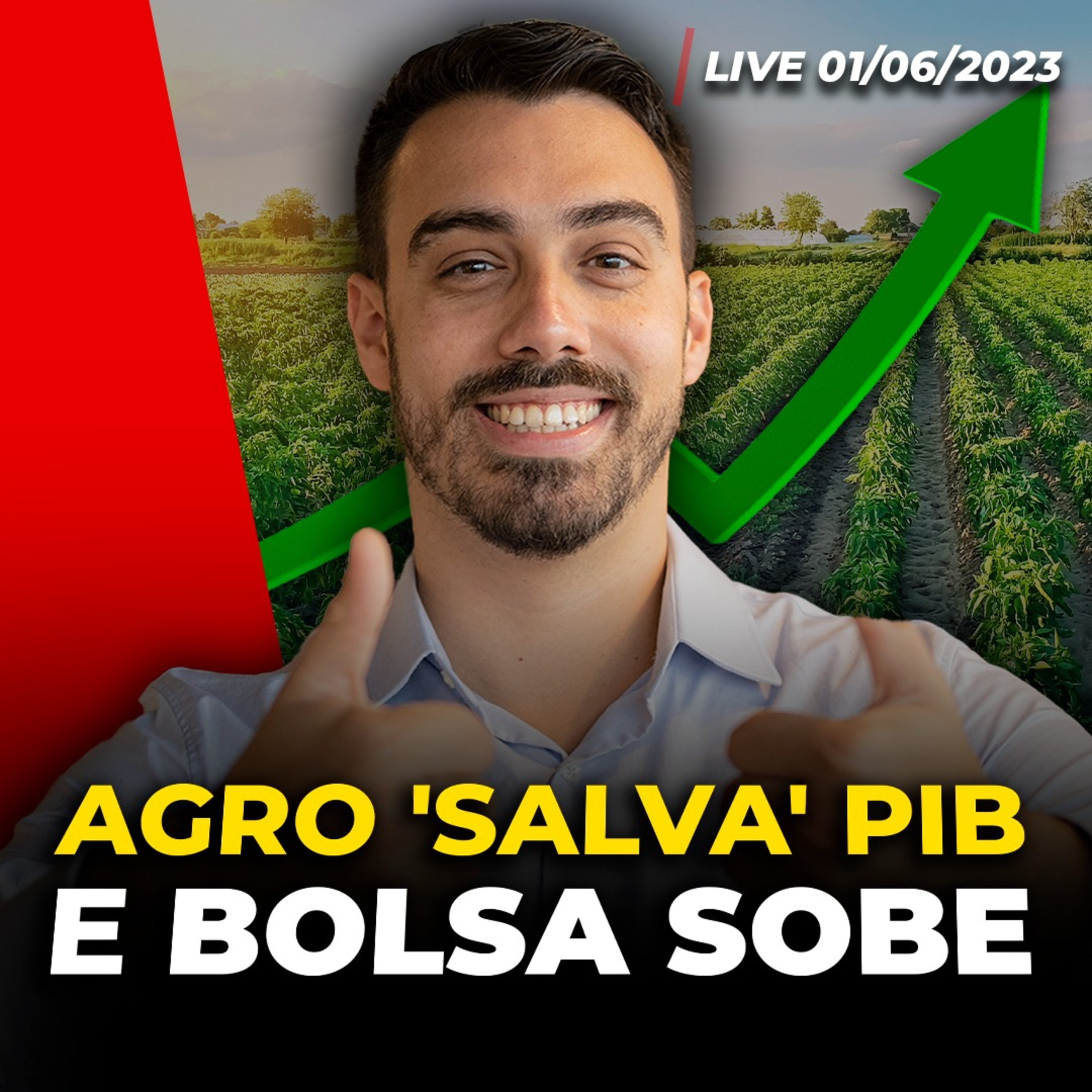Agro impulsiona PIB e ajuda Ibovespa | Magalu (MGLU3) dispara 7% | Renda fixa: e se a Selic cair? episode artwork