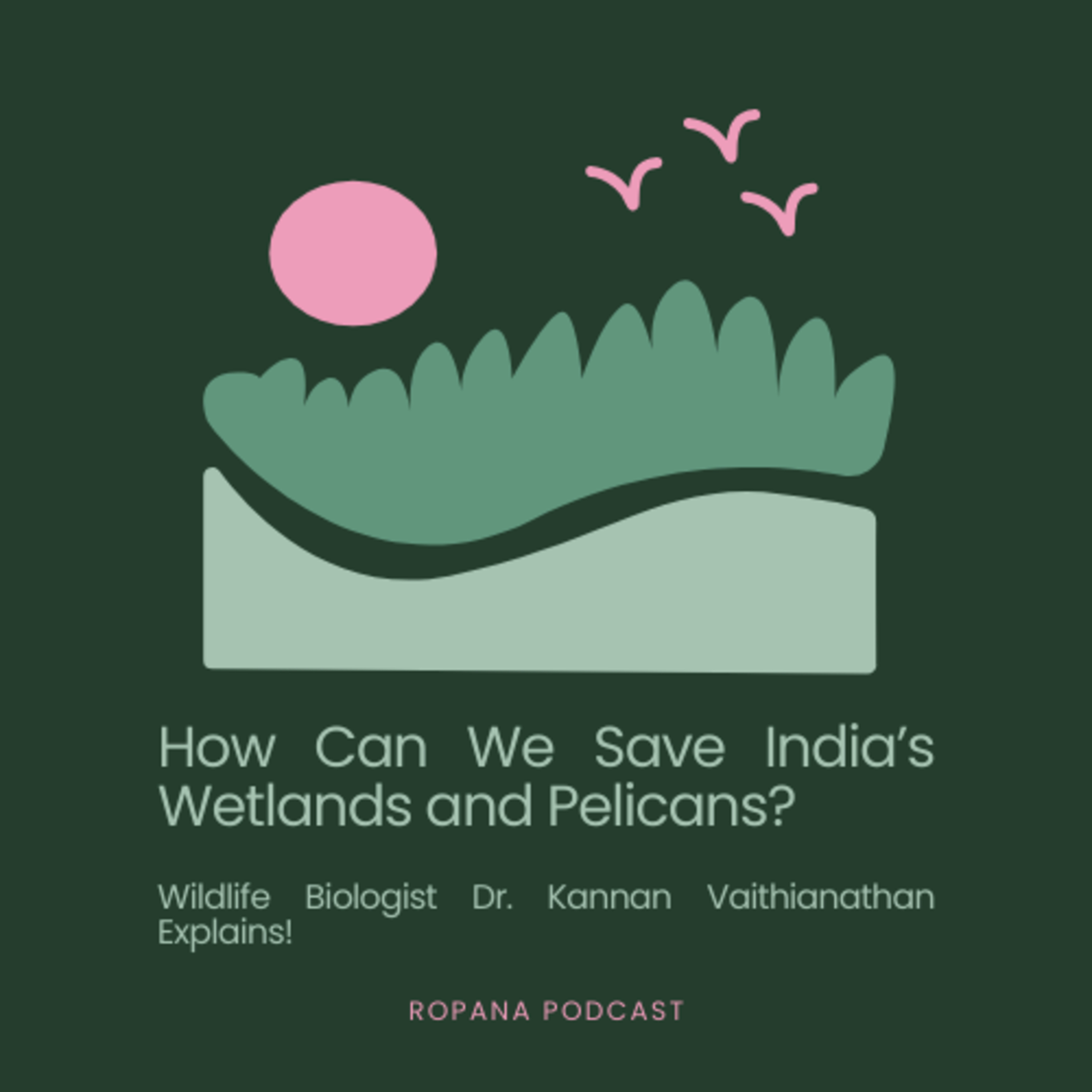 Ropana Podcast (रोपण), What\'s On A Medic\'s Mind