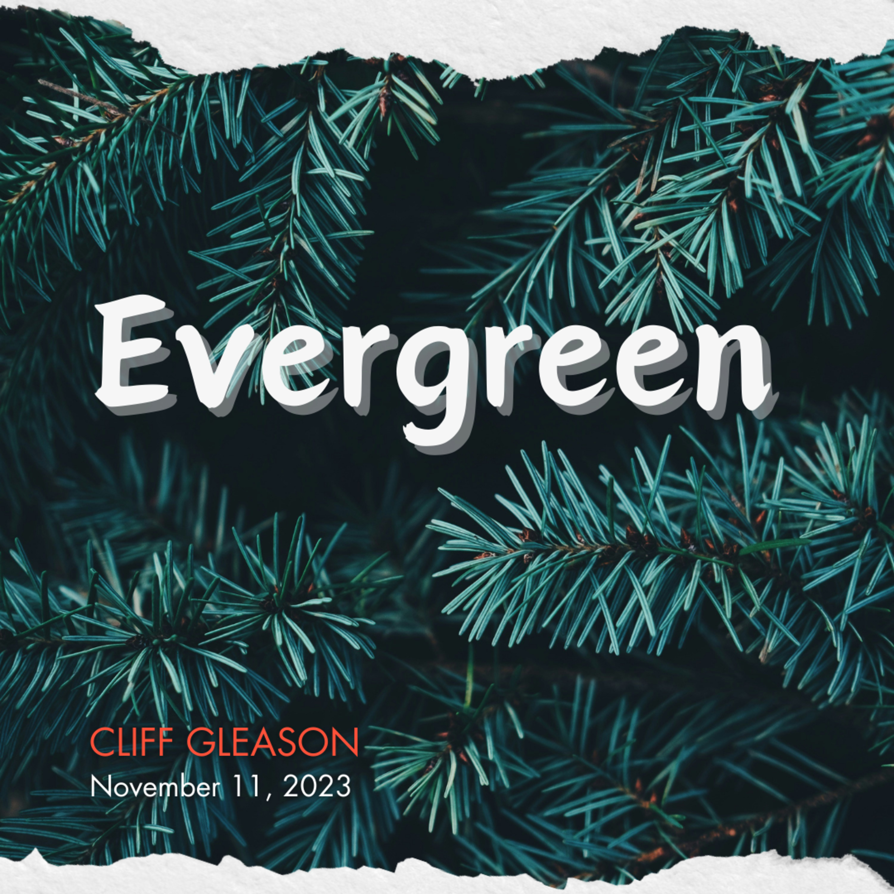 Evergreen