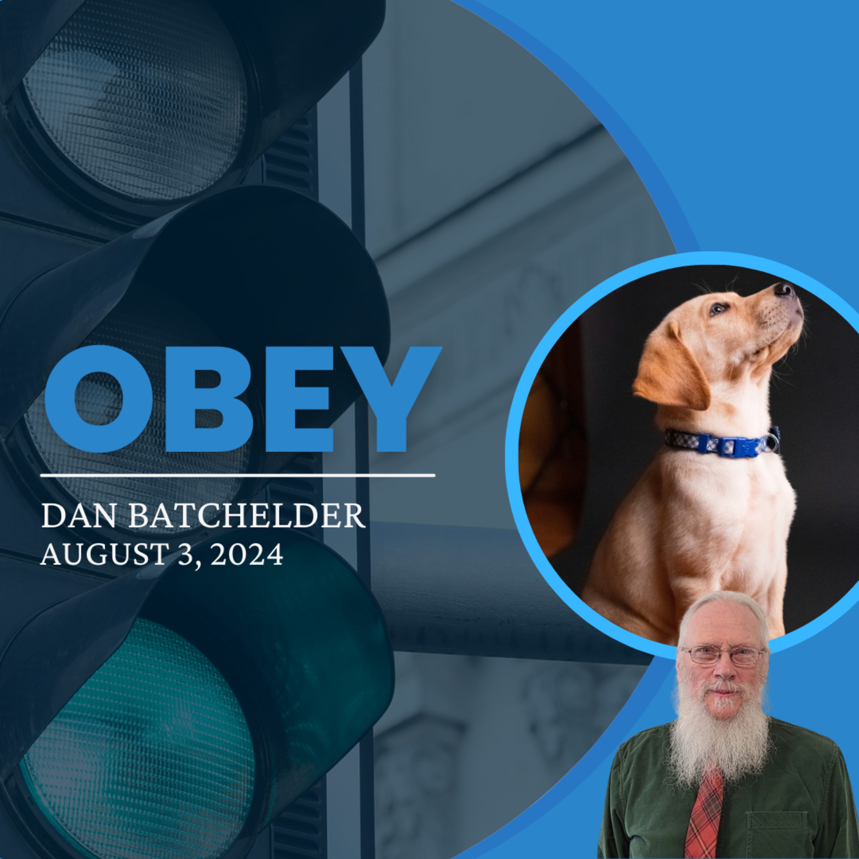 Obey