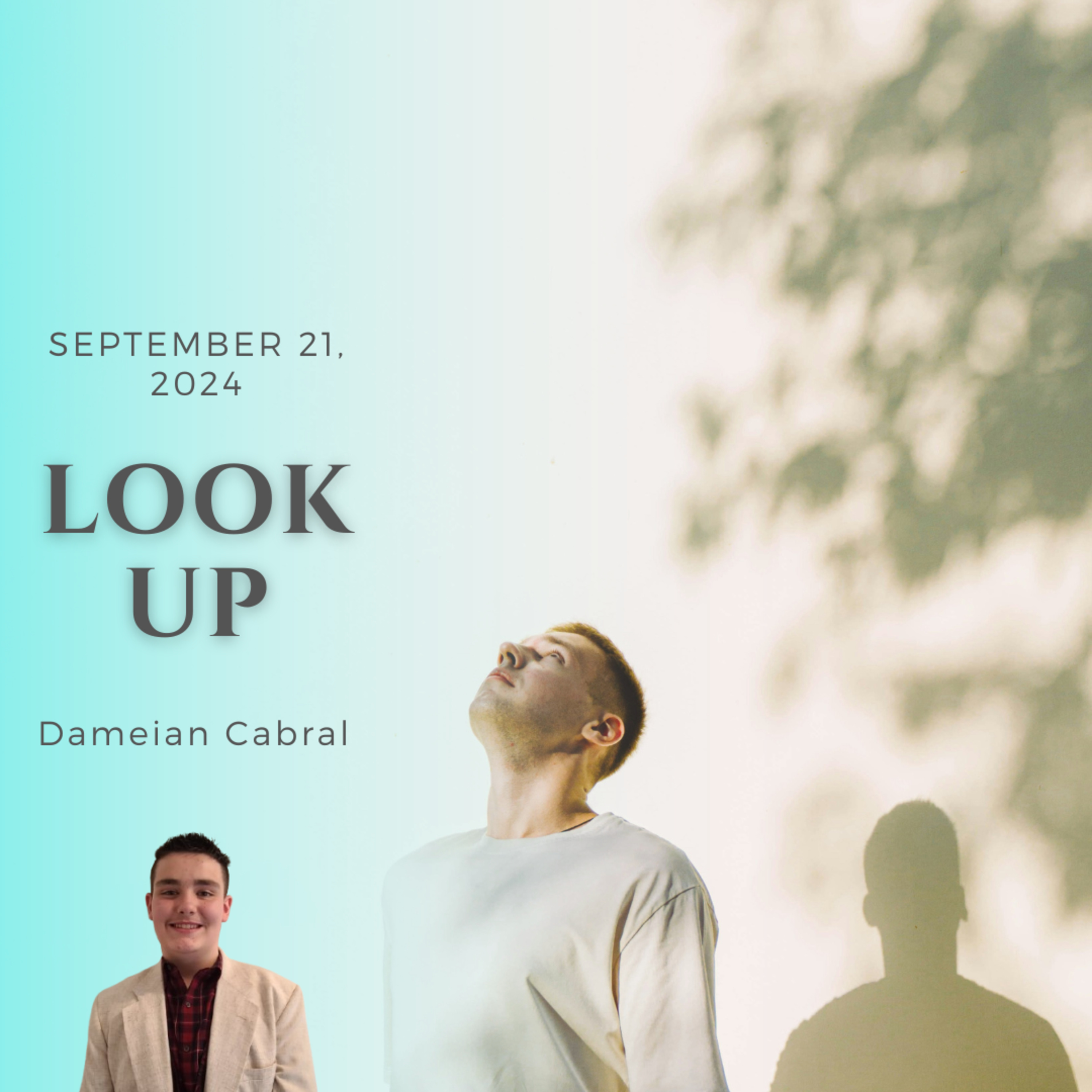 Look Up