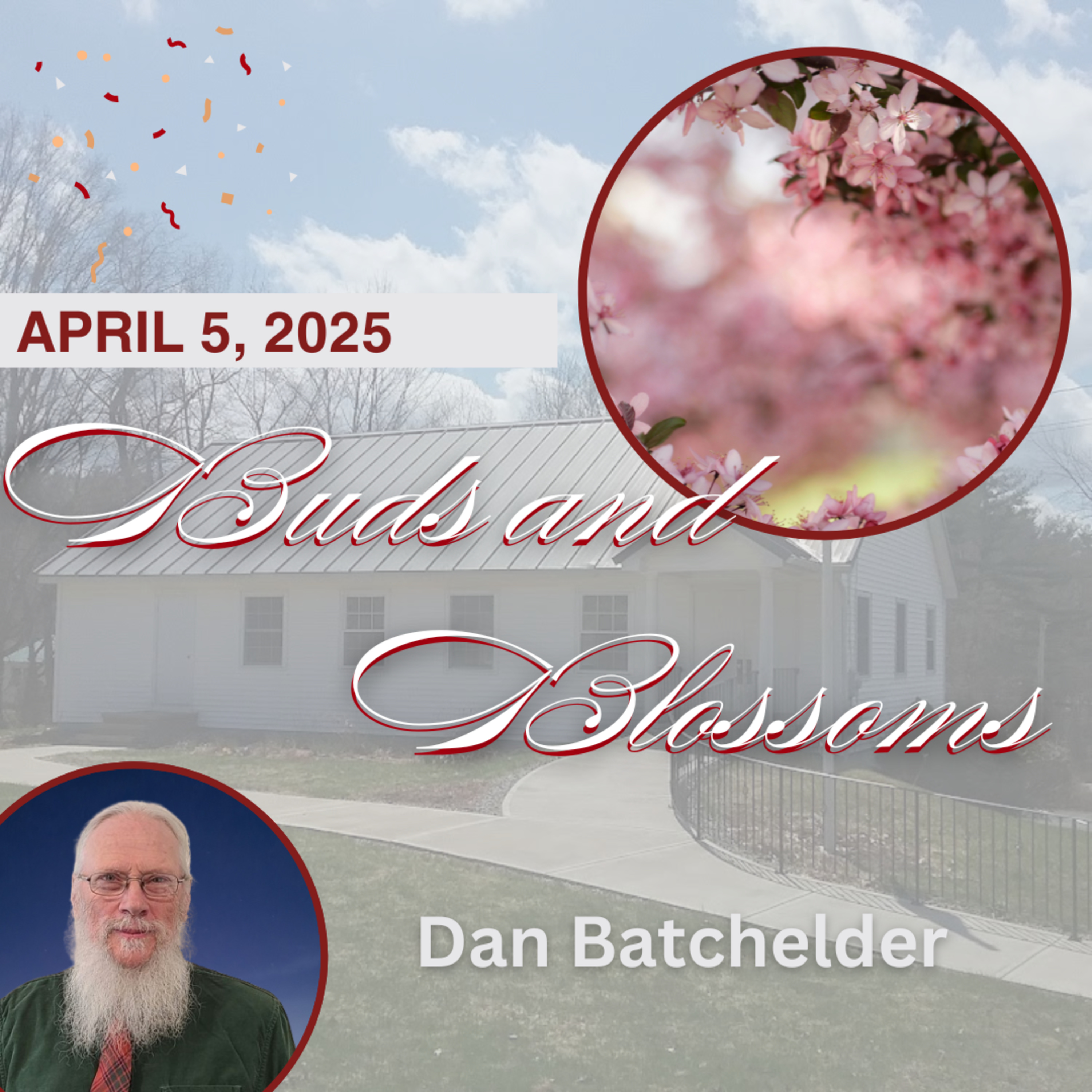 Buds and Blossoms