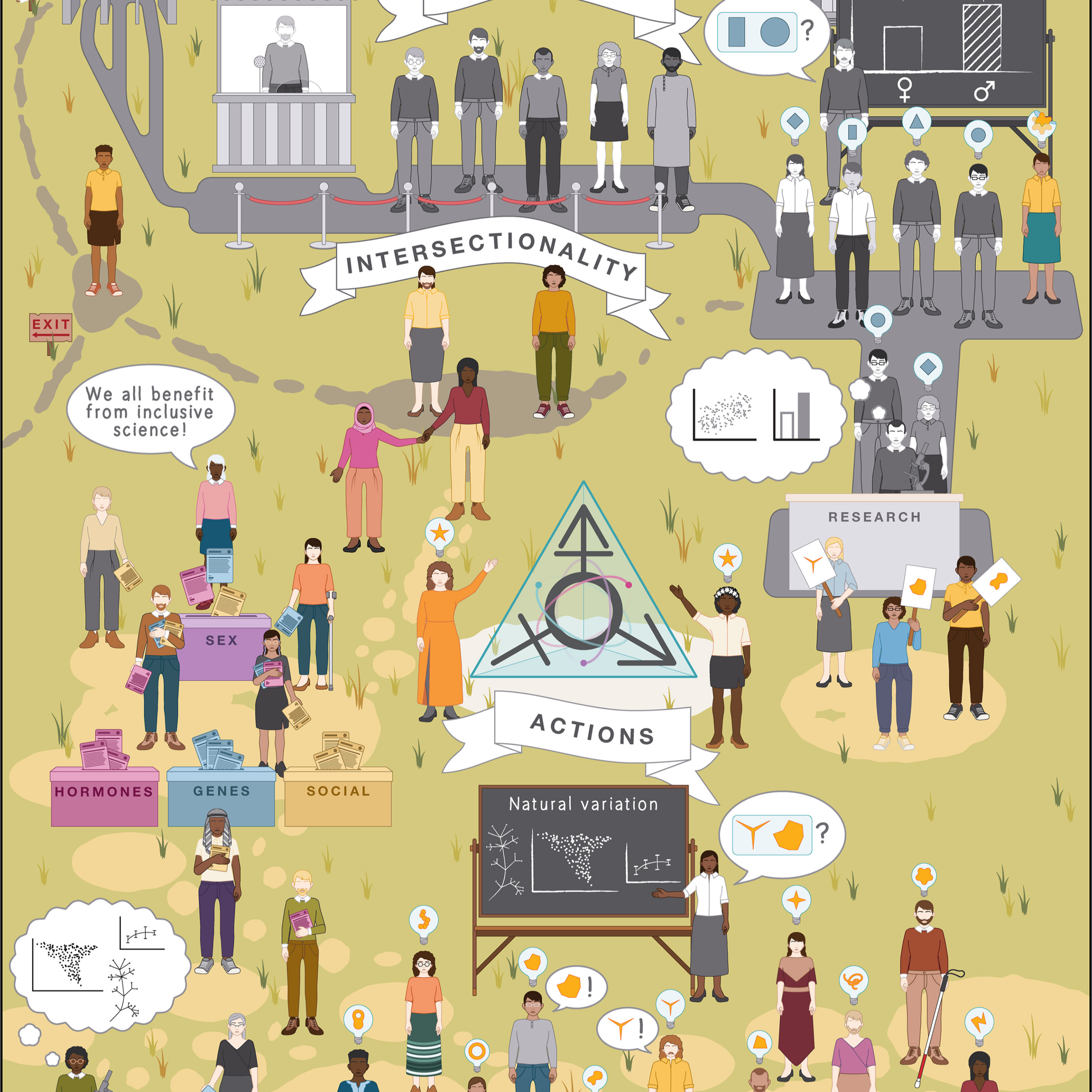 Transgender Representation in STEMM episode artwork