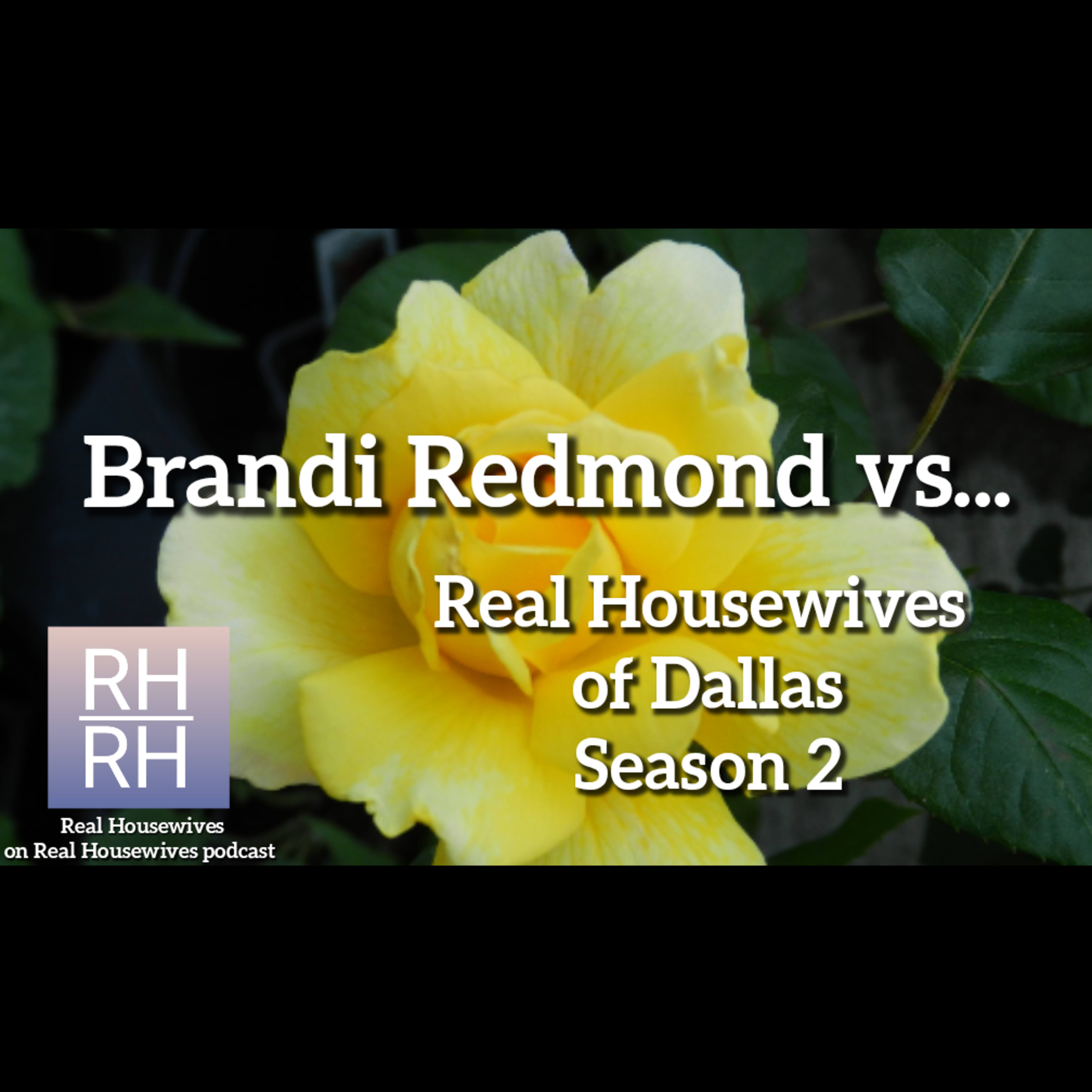 Real Housewives on Real Housewives