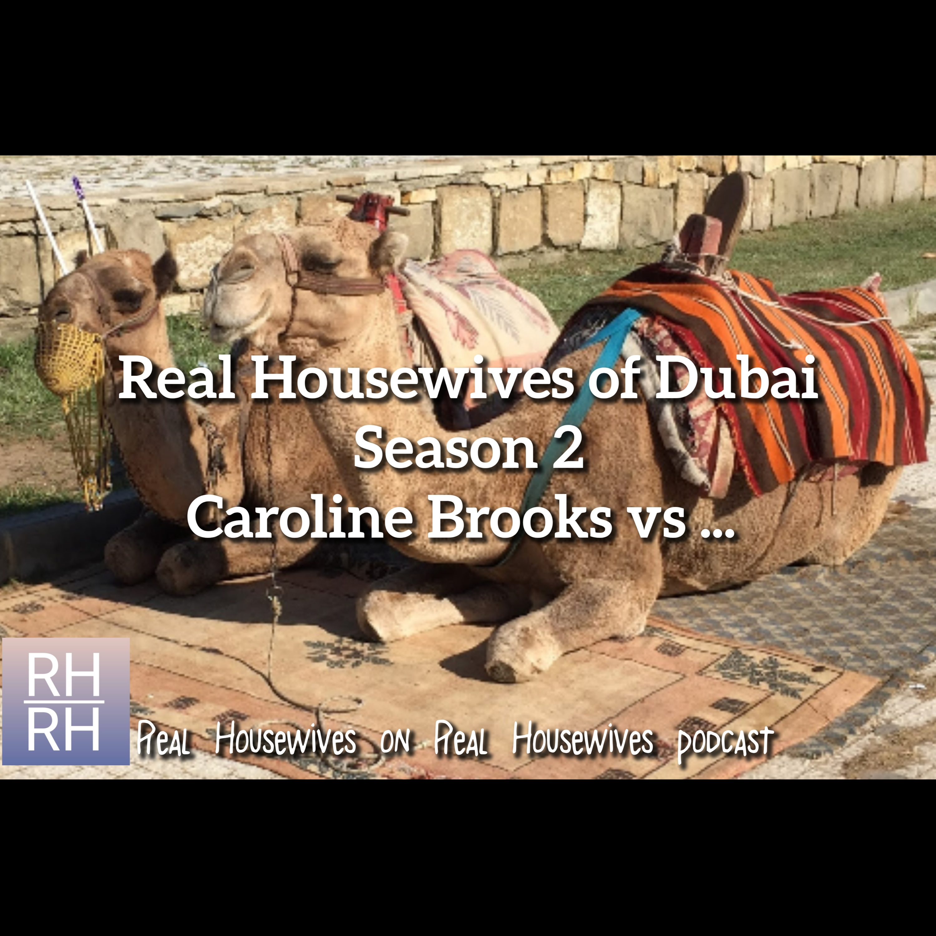 Real Housewives on Real Housewives