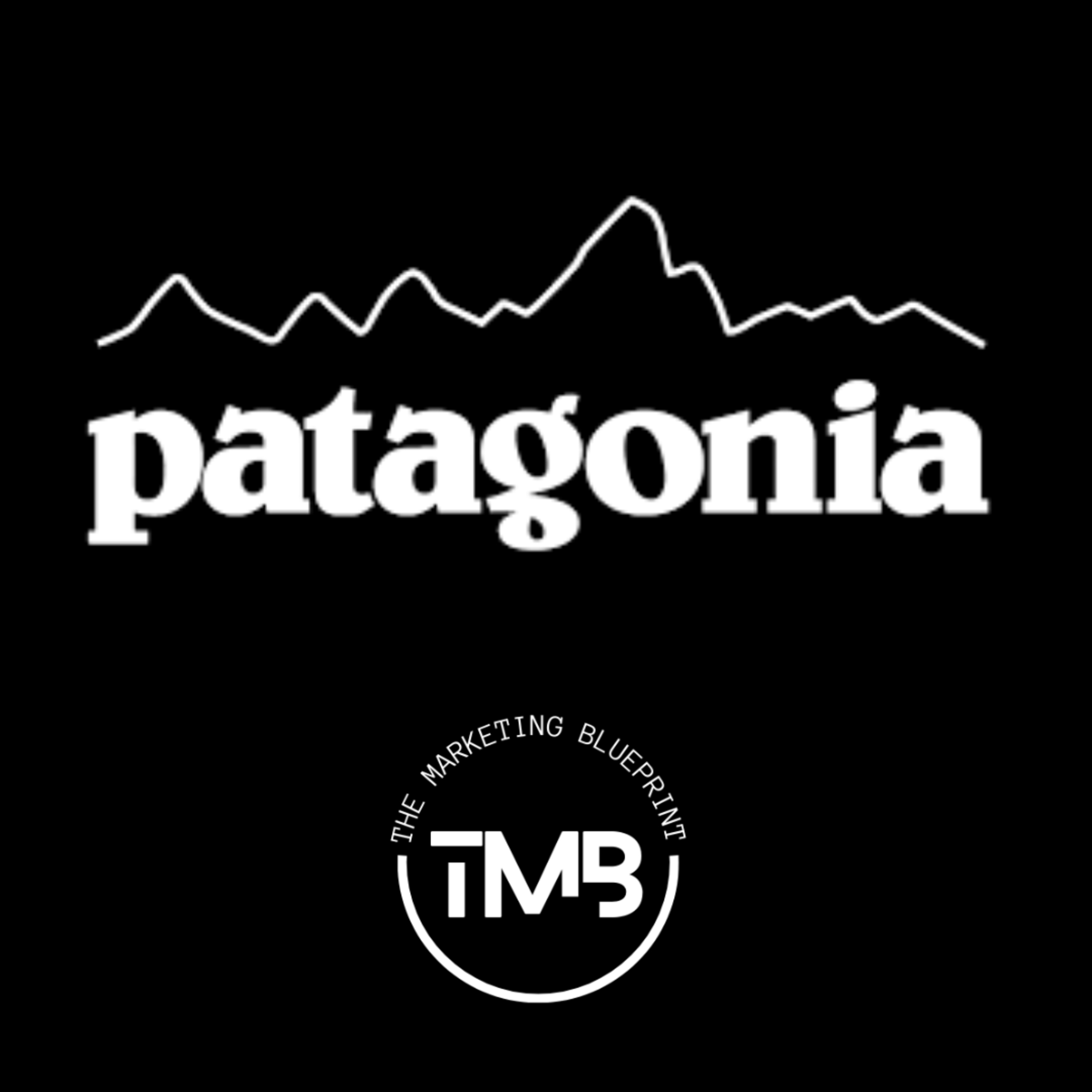 Patagonia – The Brand That Sells By Telling You Not to Buy Patagonia – The Brand That Sells By Telling You Not to Buy
