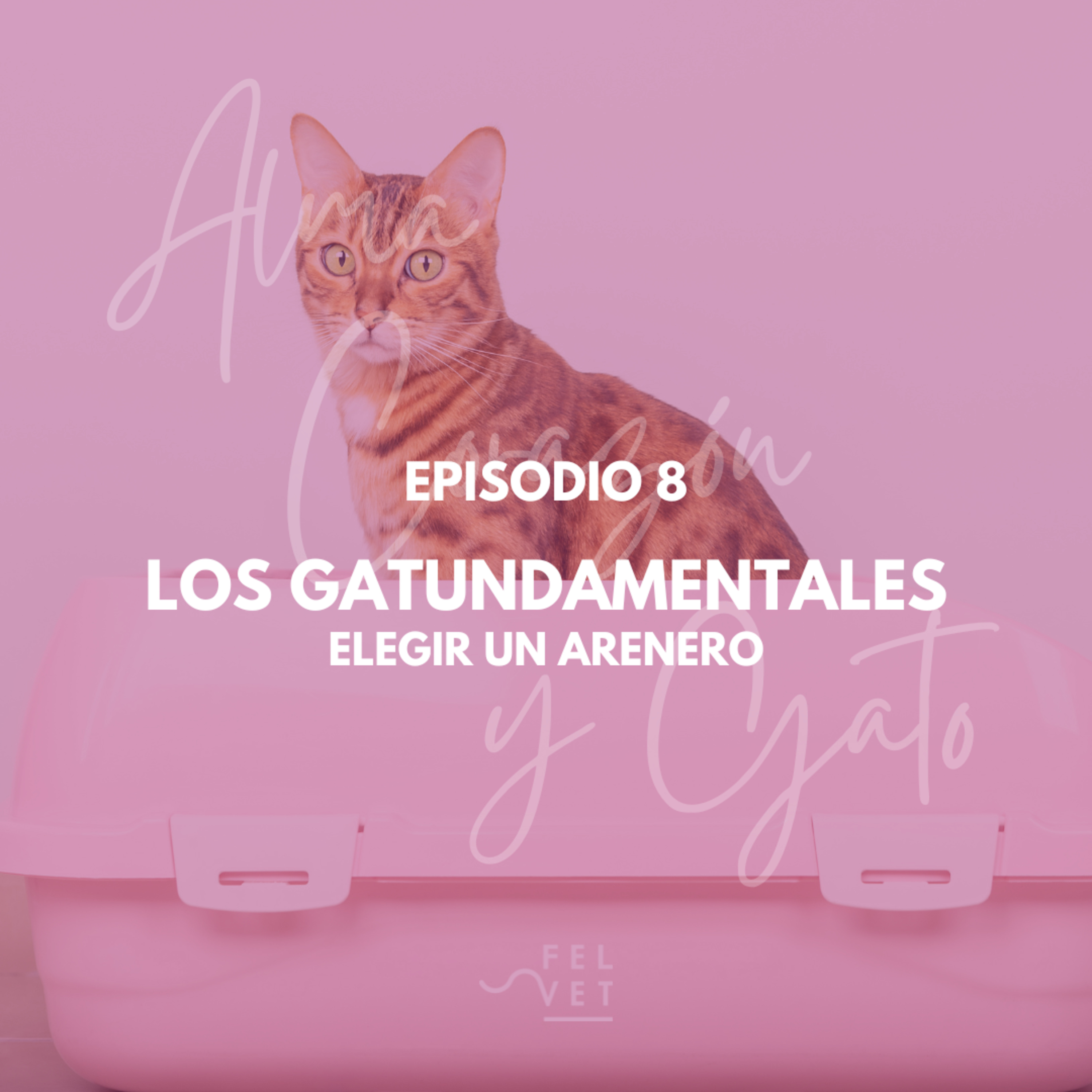 Alma Corazón y Gato - Podcast sobre gatos