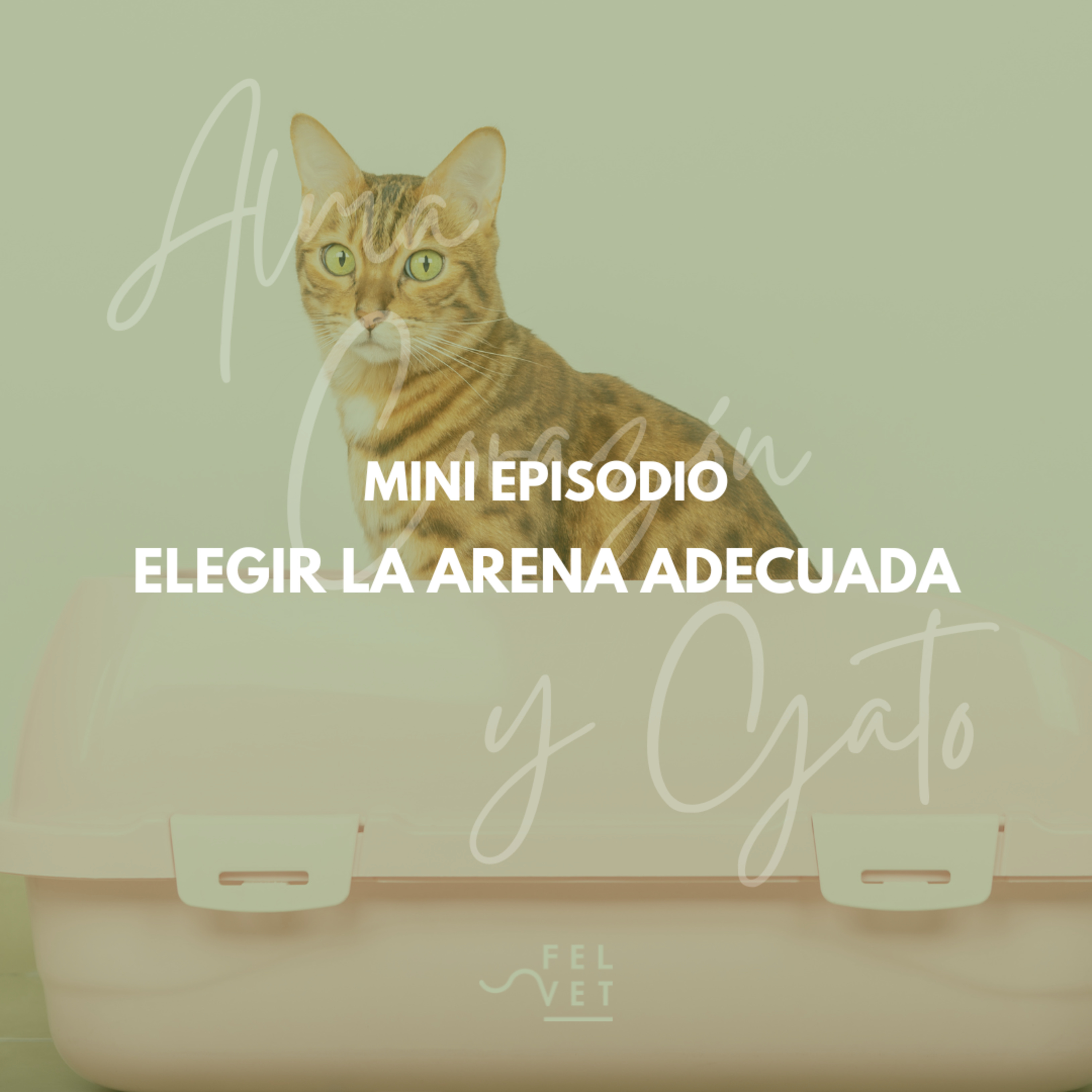 Alma Corazón y Gato - Podcast sobre gatos