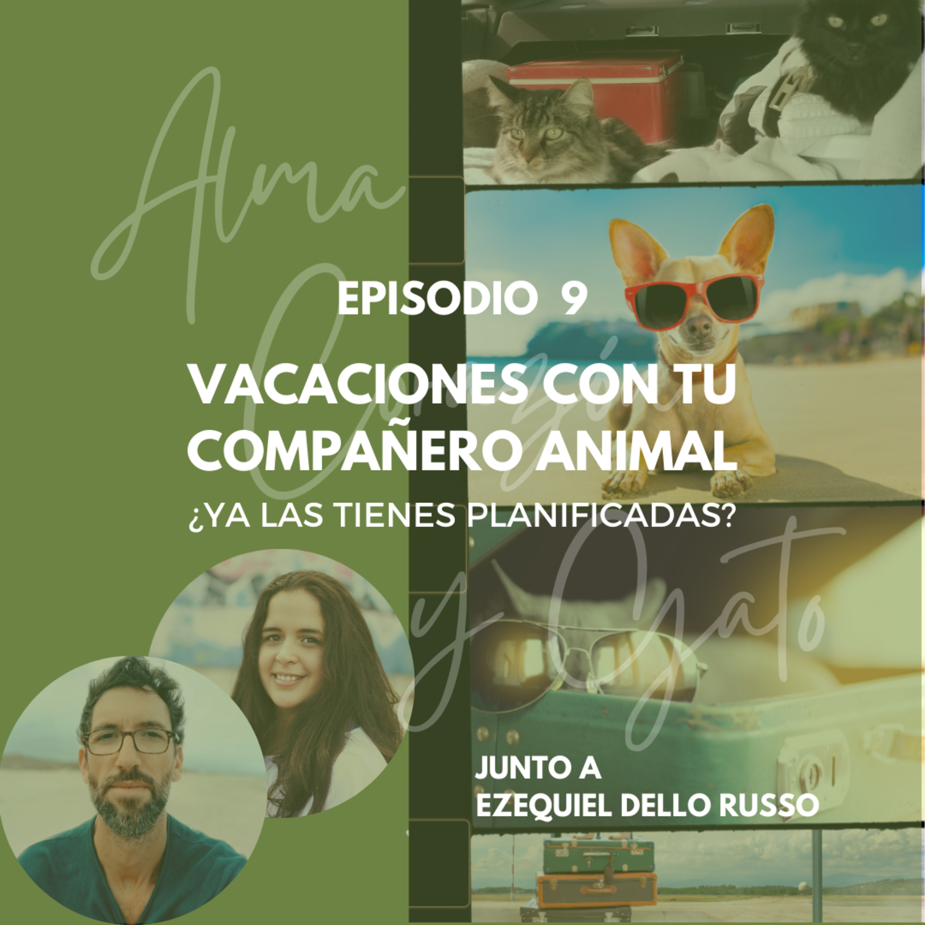 Alma Corazón y Gato - Podcast sobre gatos