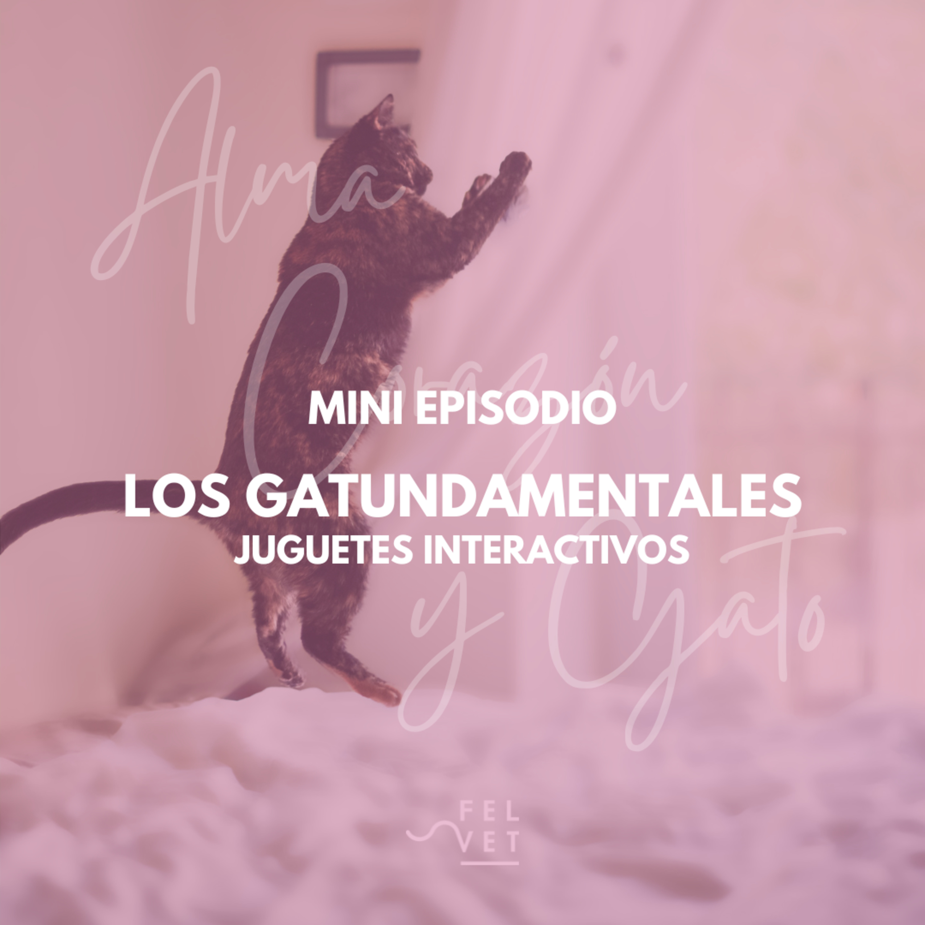 Alma Corazón y Gato - Podcast sobre gatos