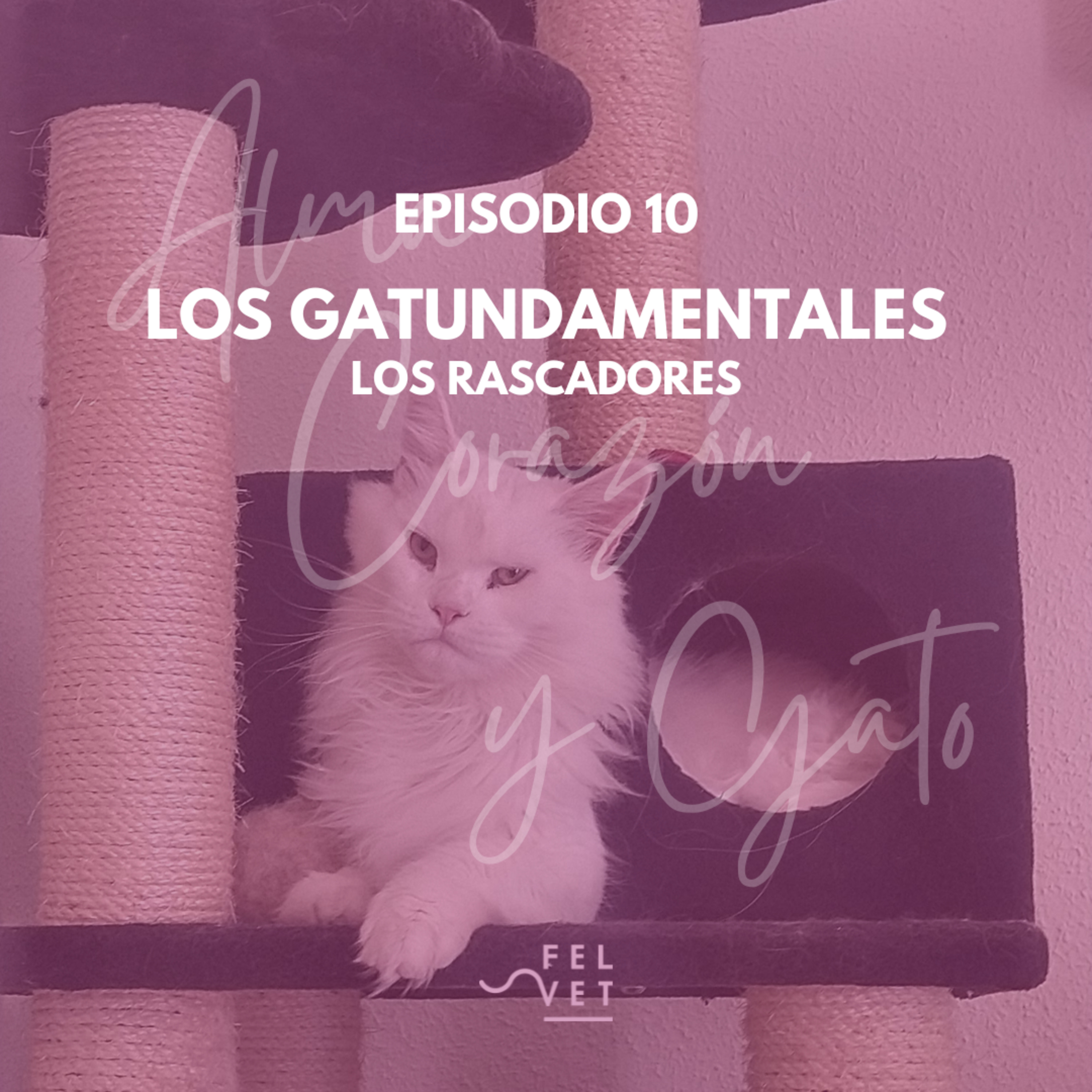 Alma Corazón y Gato - Podcast sobre gatos