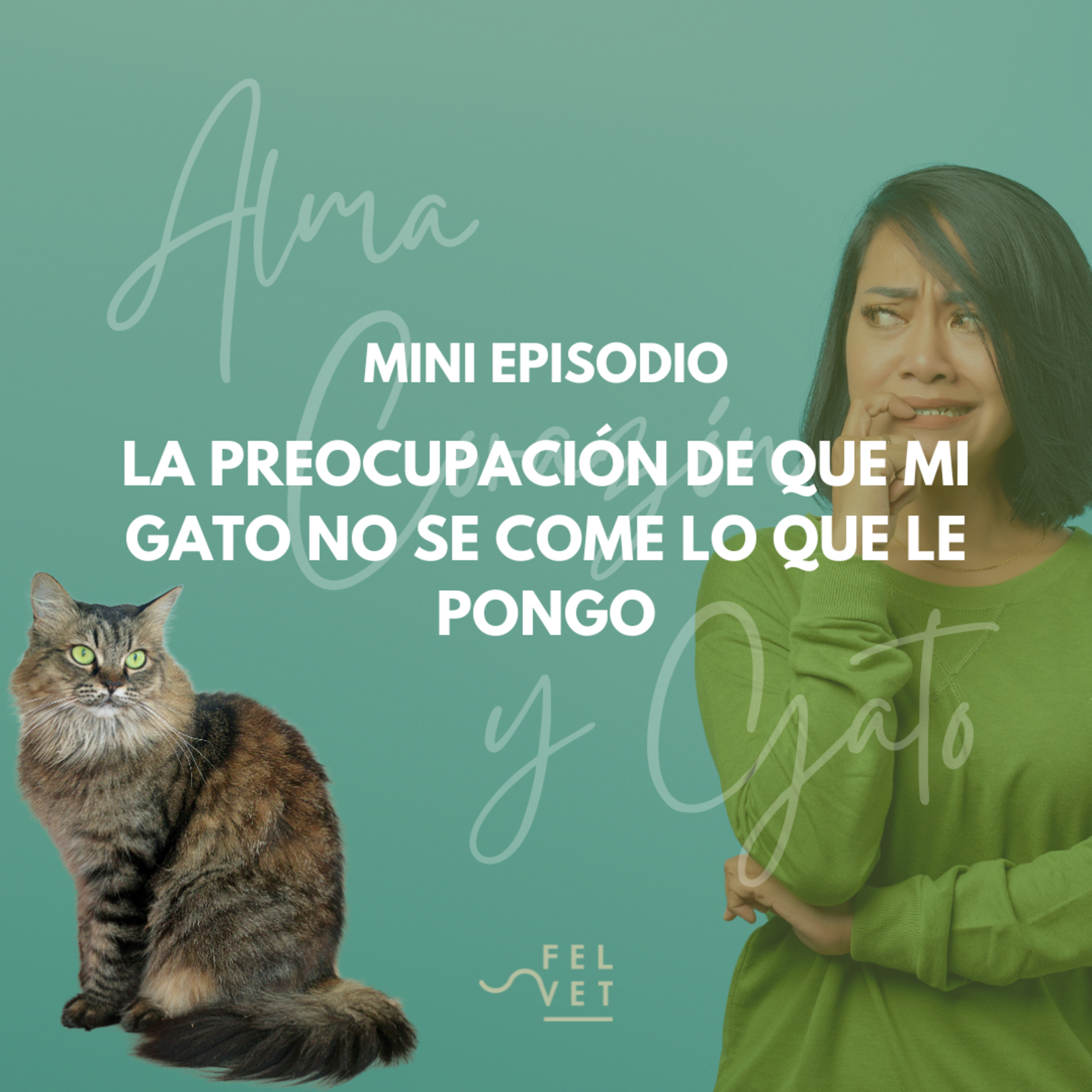 Alma Corazón y Gato - Podcast sobre gatos