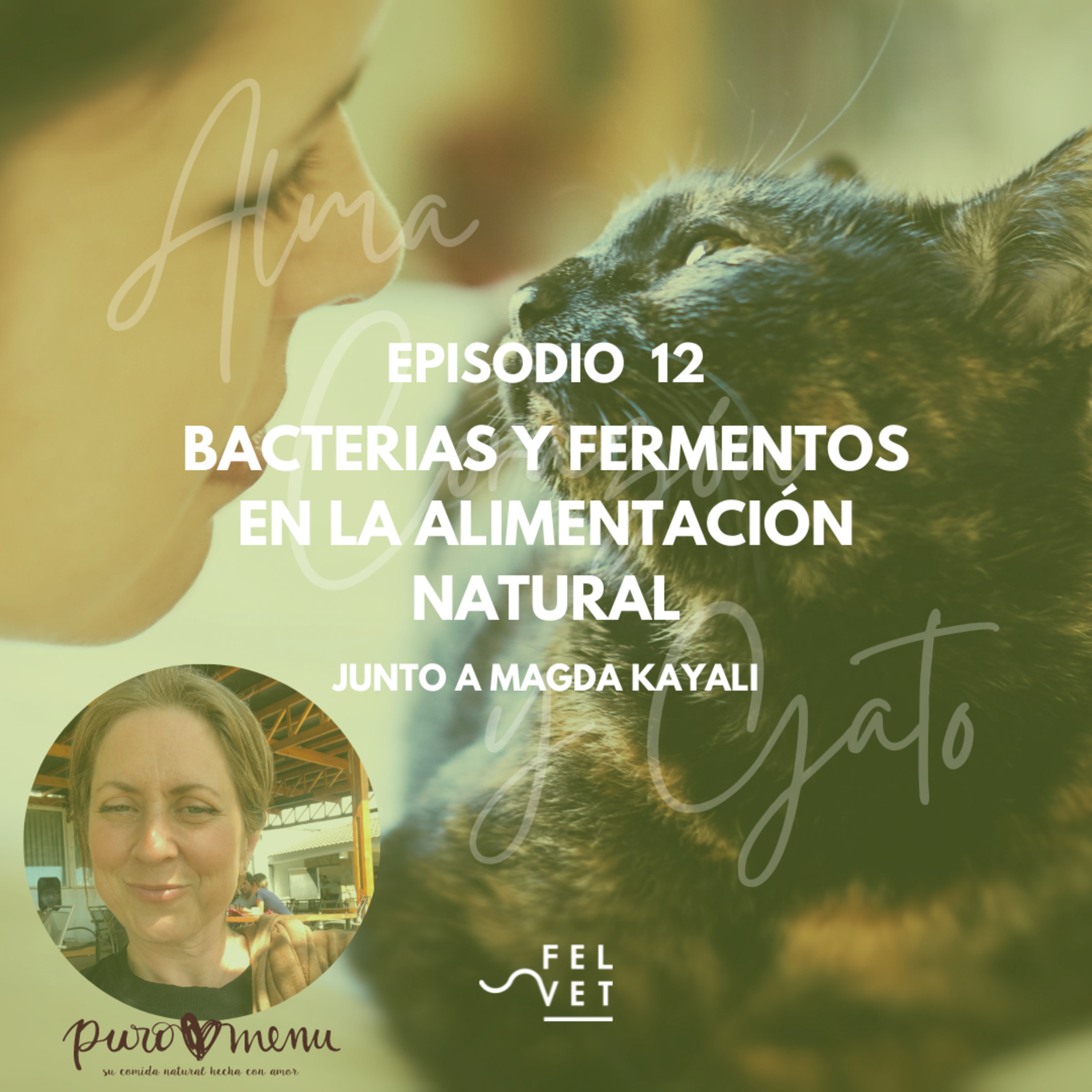 Alma Corazón y Gato - Podcast sobre gatos