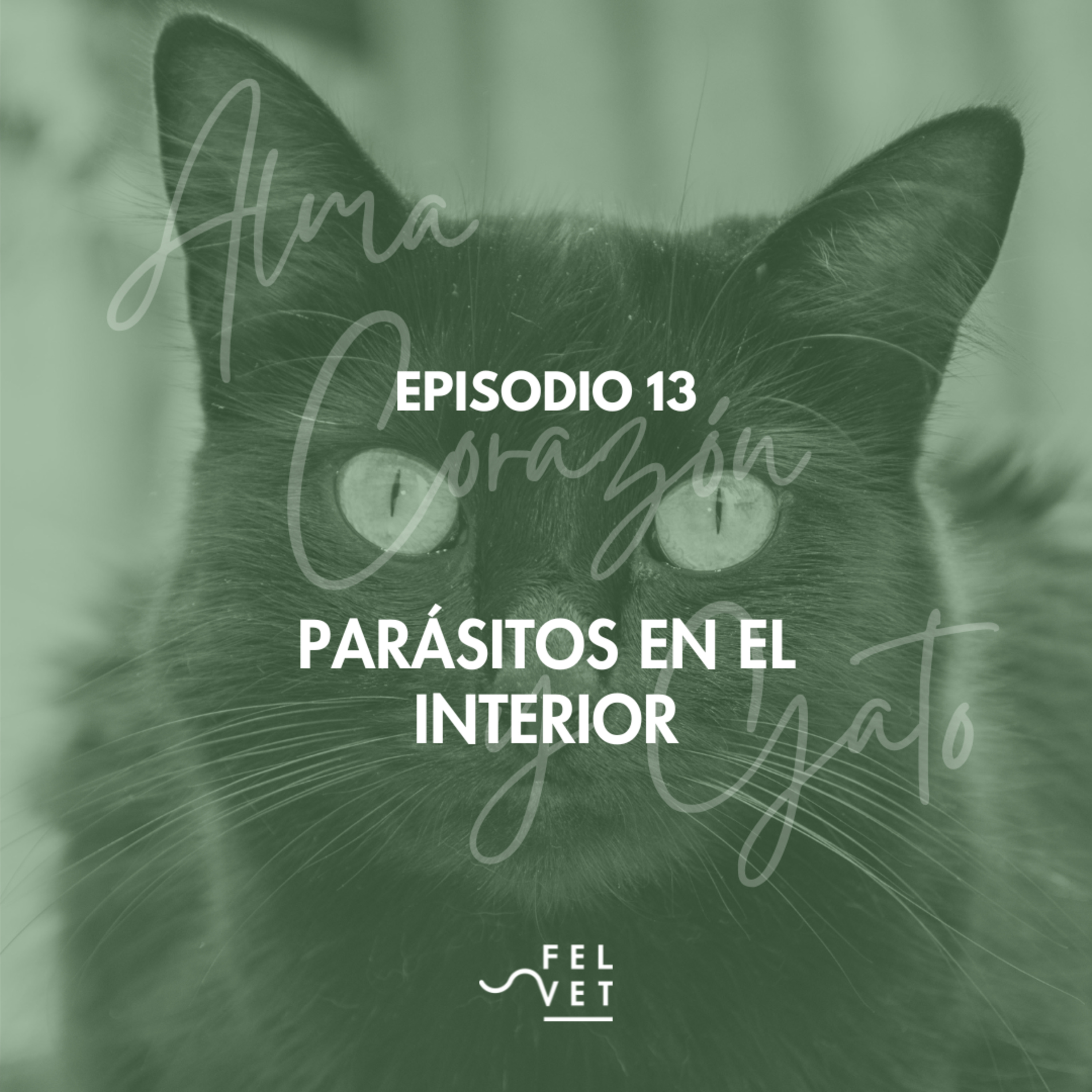 🎙️ EPISODIO 13: Parásitos en el interior y sus mecanismos de supervivencia
