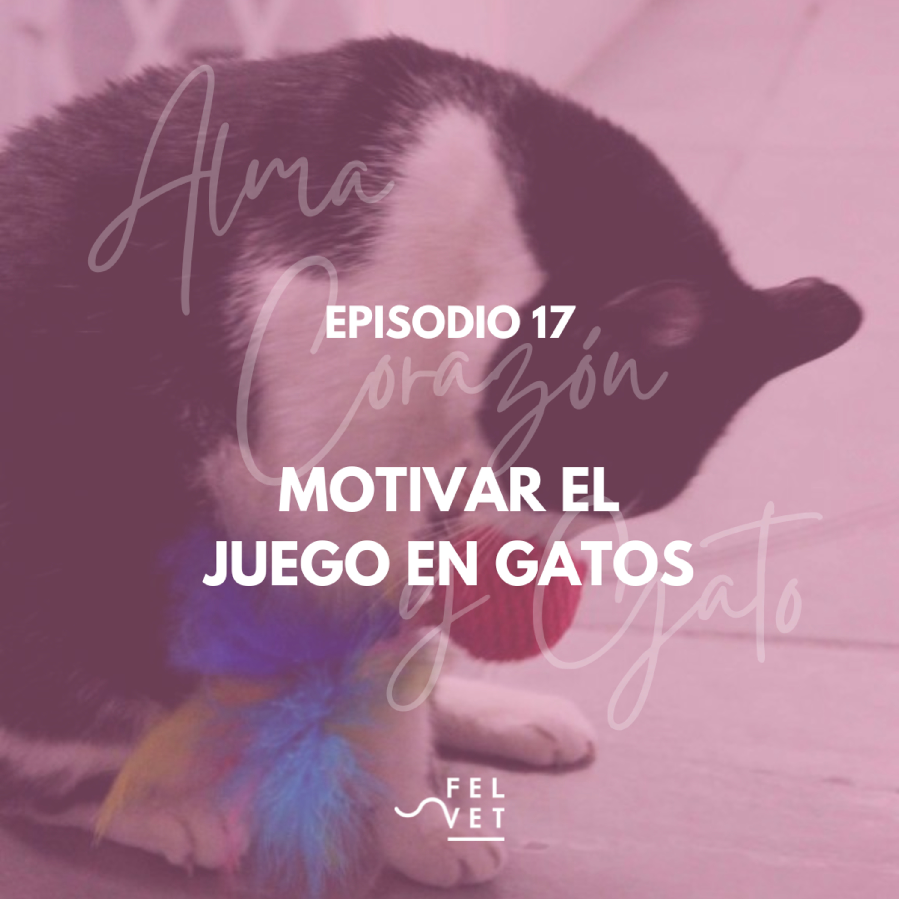 EPISODIO 17: Motivar el Juego con tu Gato
