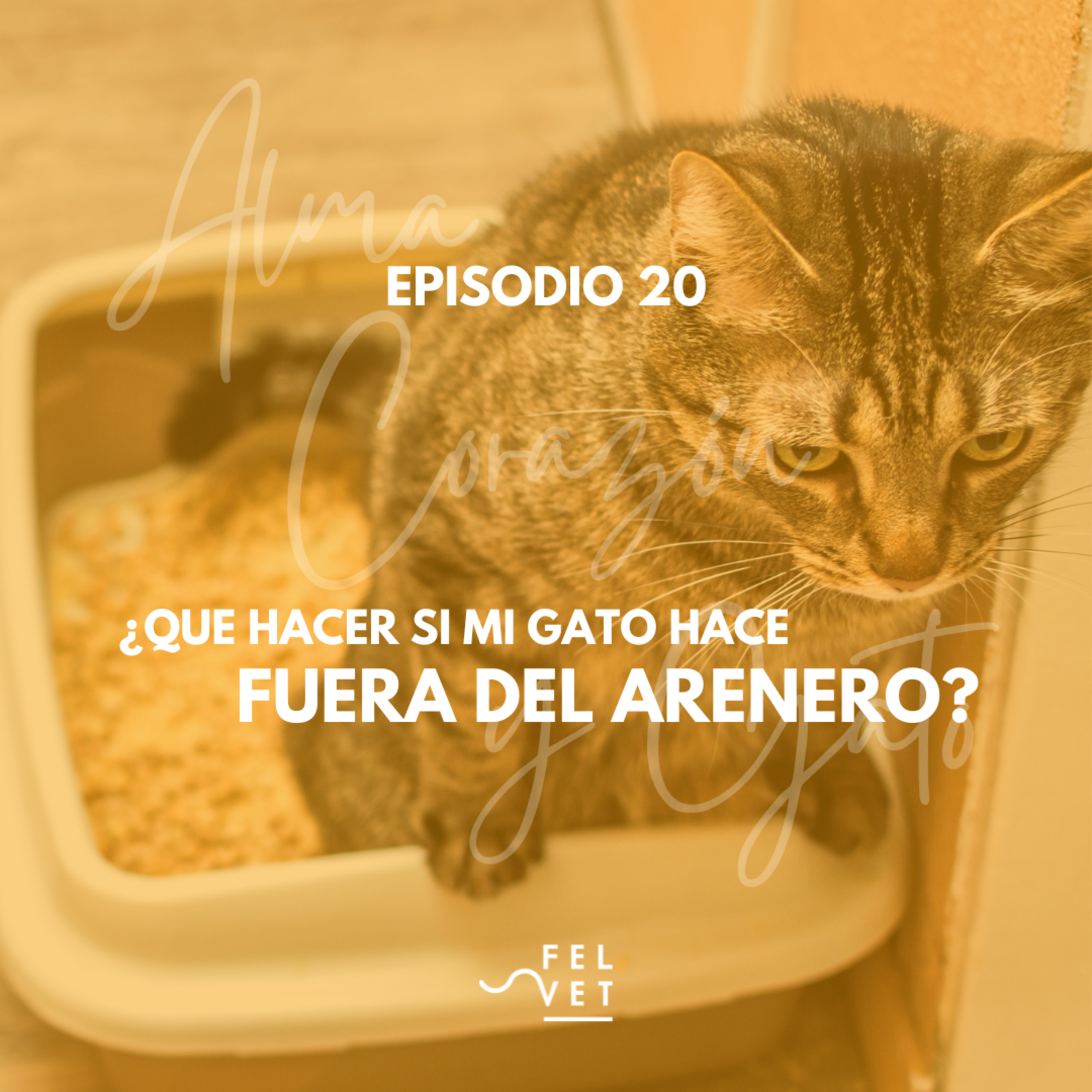 EPISODIO 20: ¿Que hago si mi gato hace fuera del arenero?