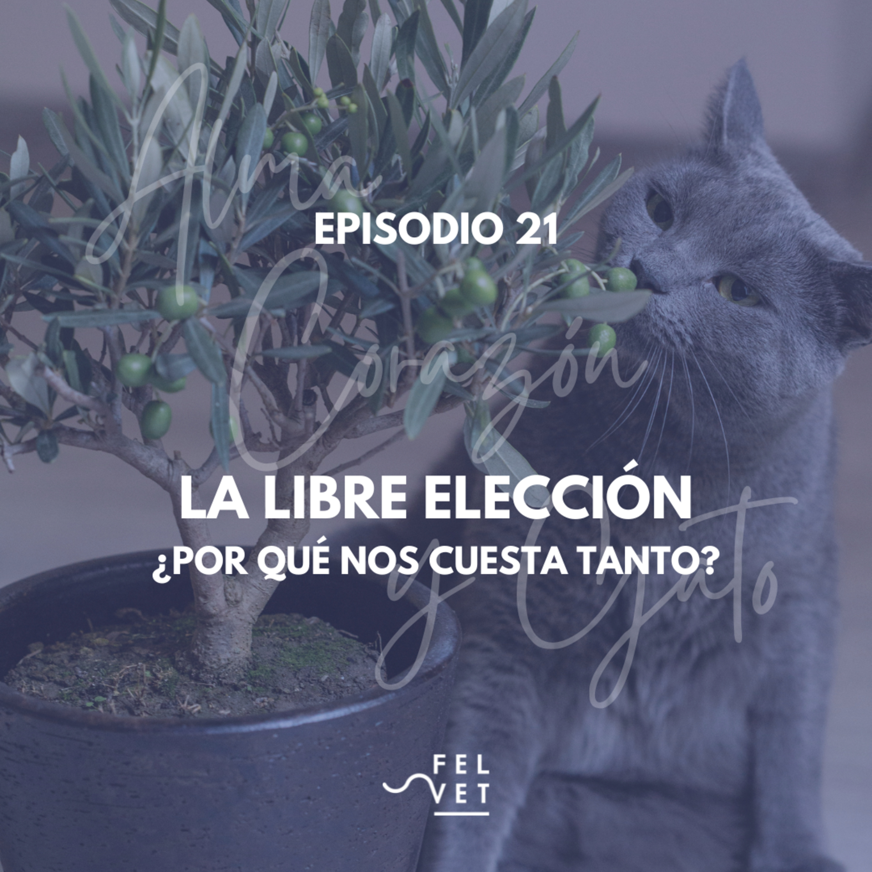EPISODIO 21: Libre Elección - ¿Porqué nos cuesta tanto?