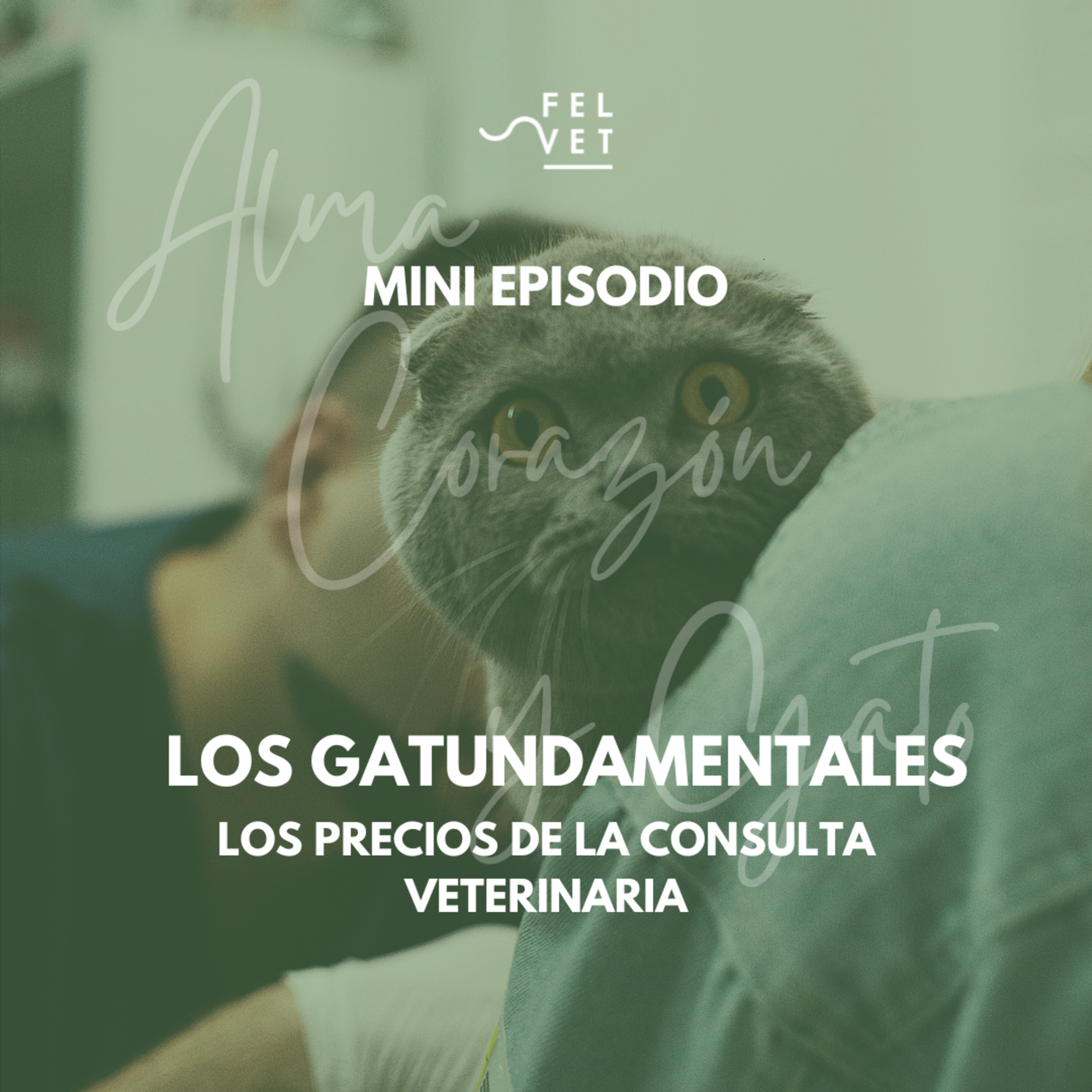 GATUNDAMENTAL EXPRÉS: LOS PRECIOS DEL VETERINARIO