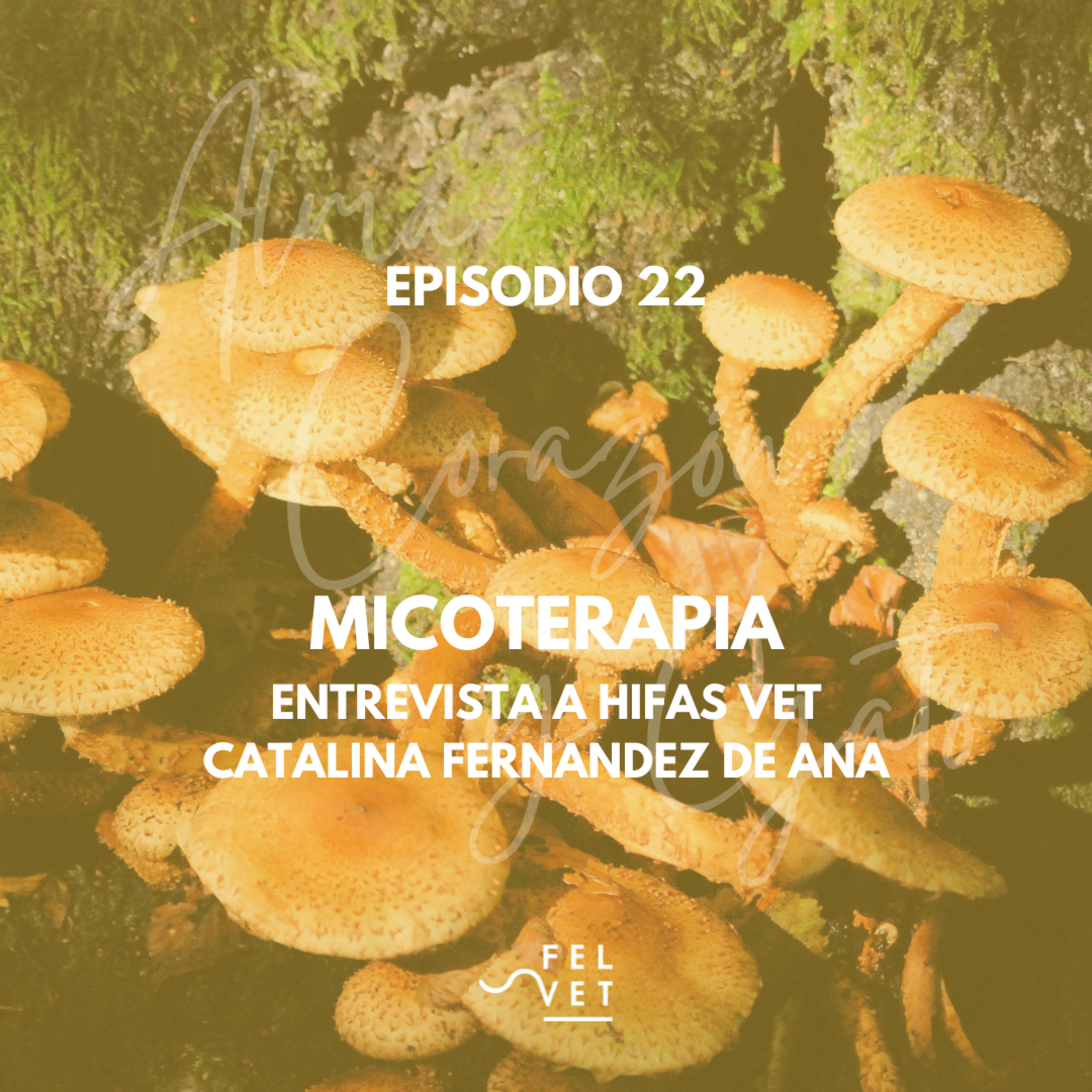 EPISODIO 22: Hablemos de Micoterapia junto a Catalina Fernández de Ana