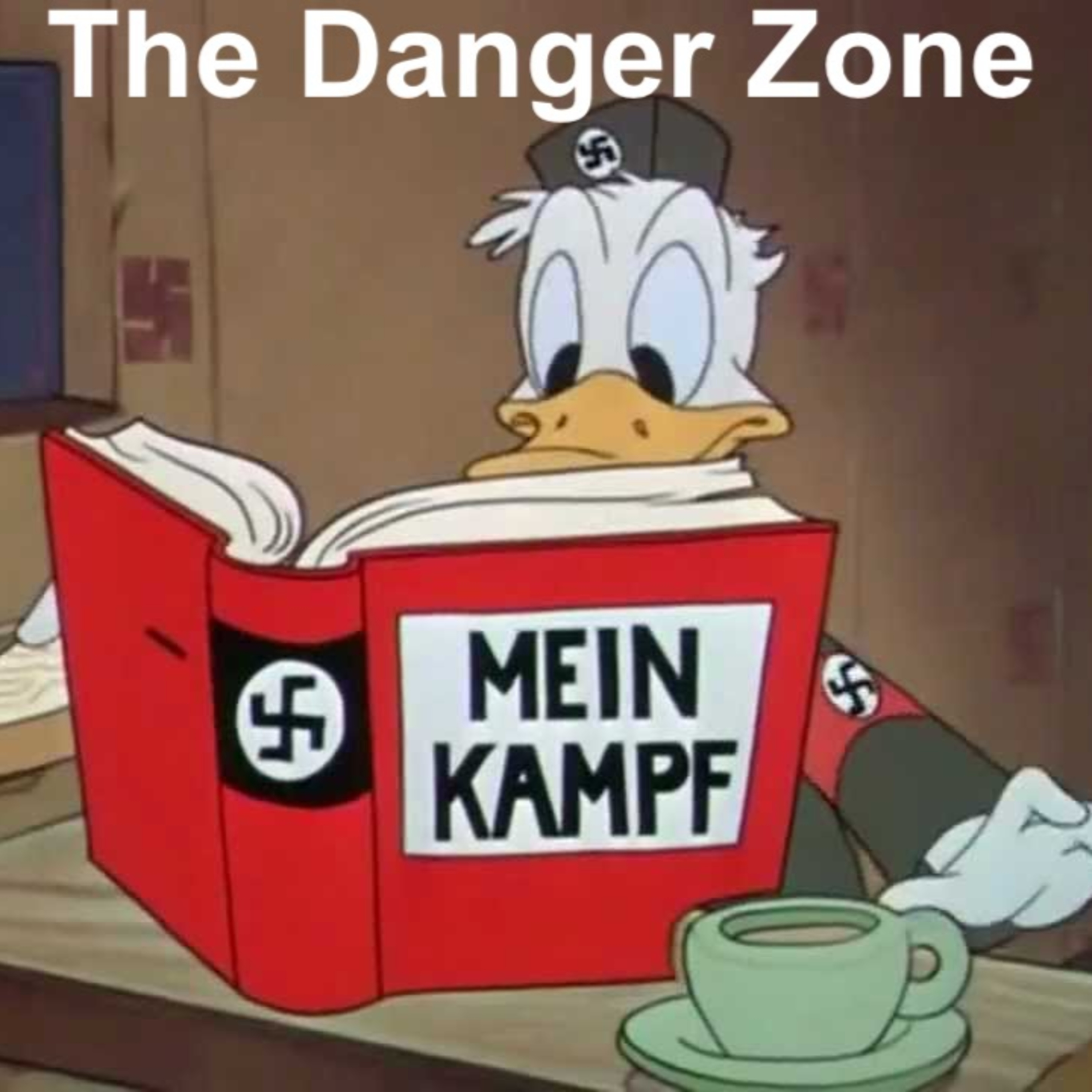 The Danger Zone (DZ)