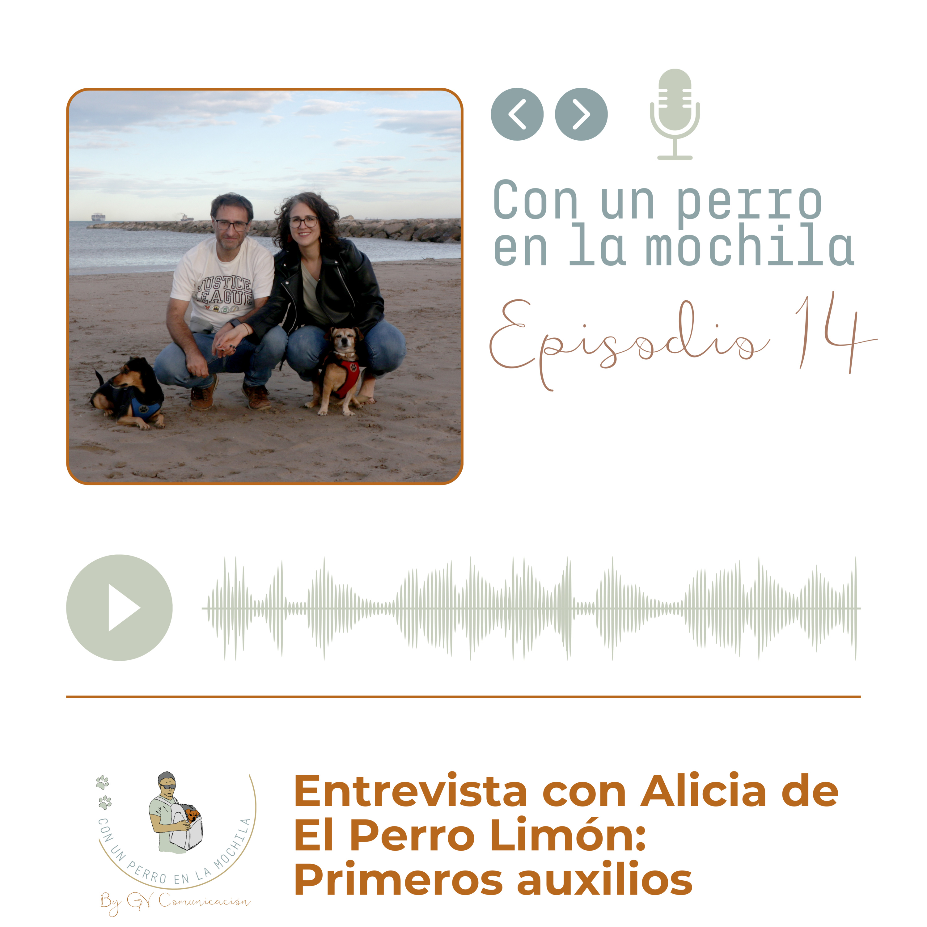 Episodio 14 - Primeros auxilios con Alicia de El Perro Limón episode artwork