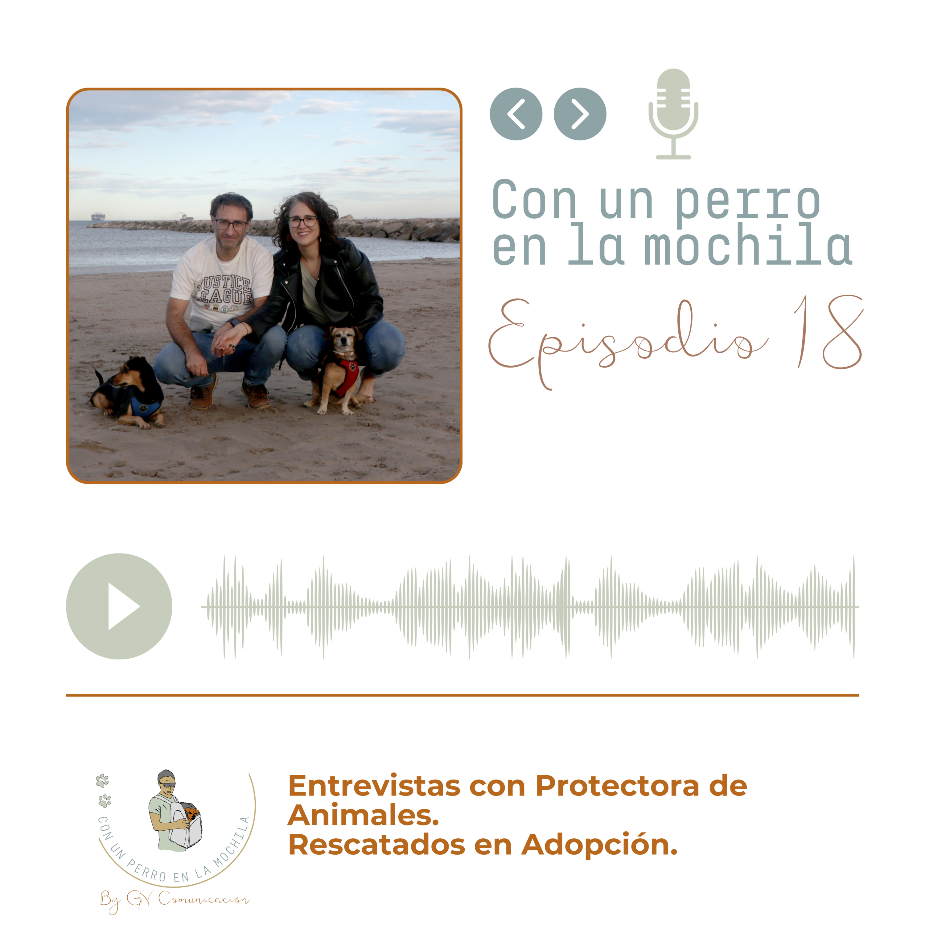 Episodio 18 - Conociendo a Rescatados en Adopción de Albacete episode artwork