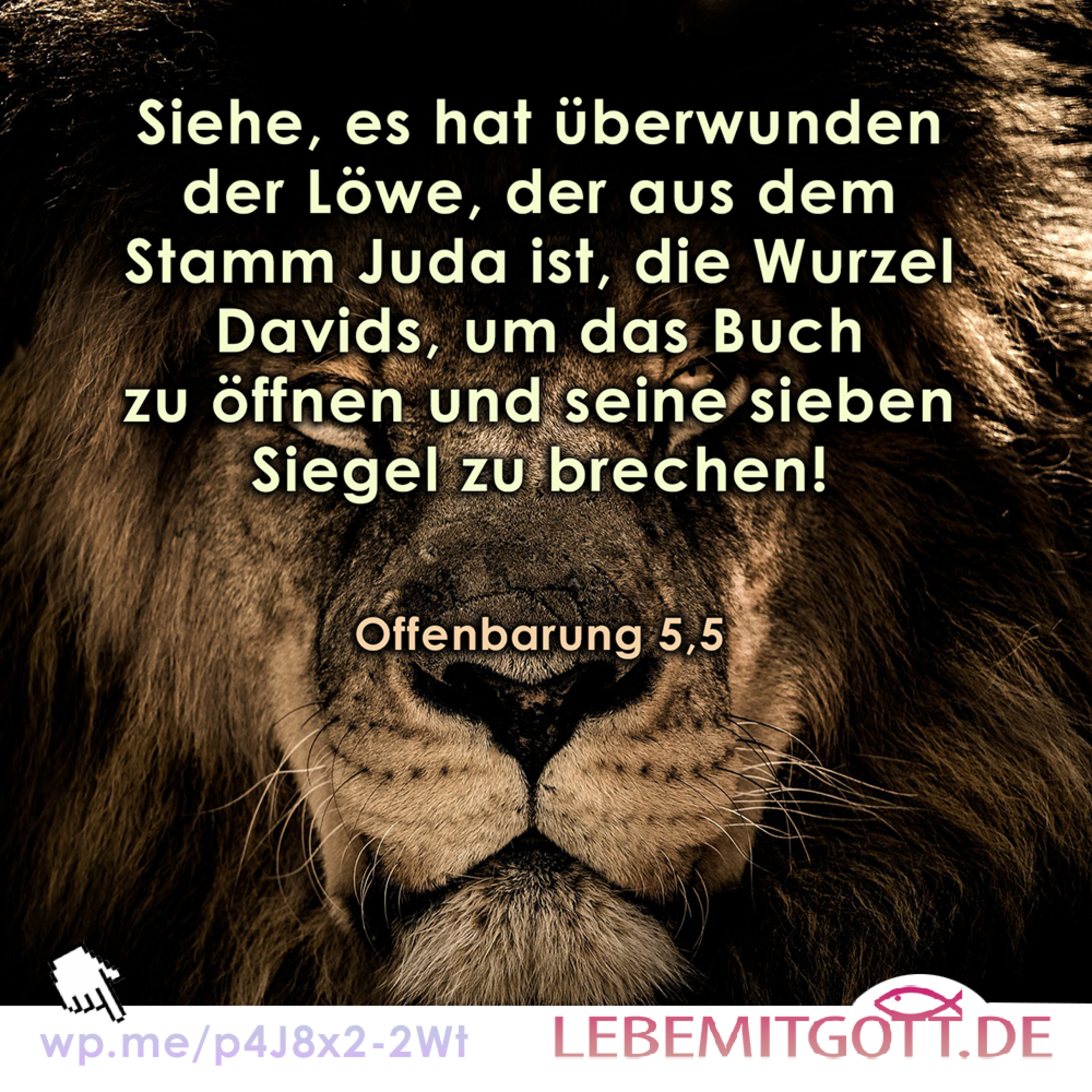 Lebe mit Gott * Andachten