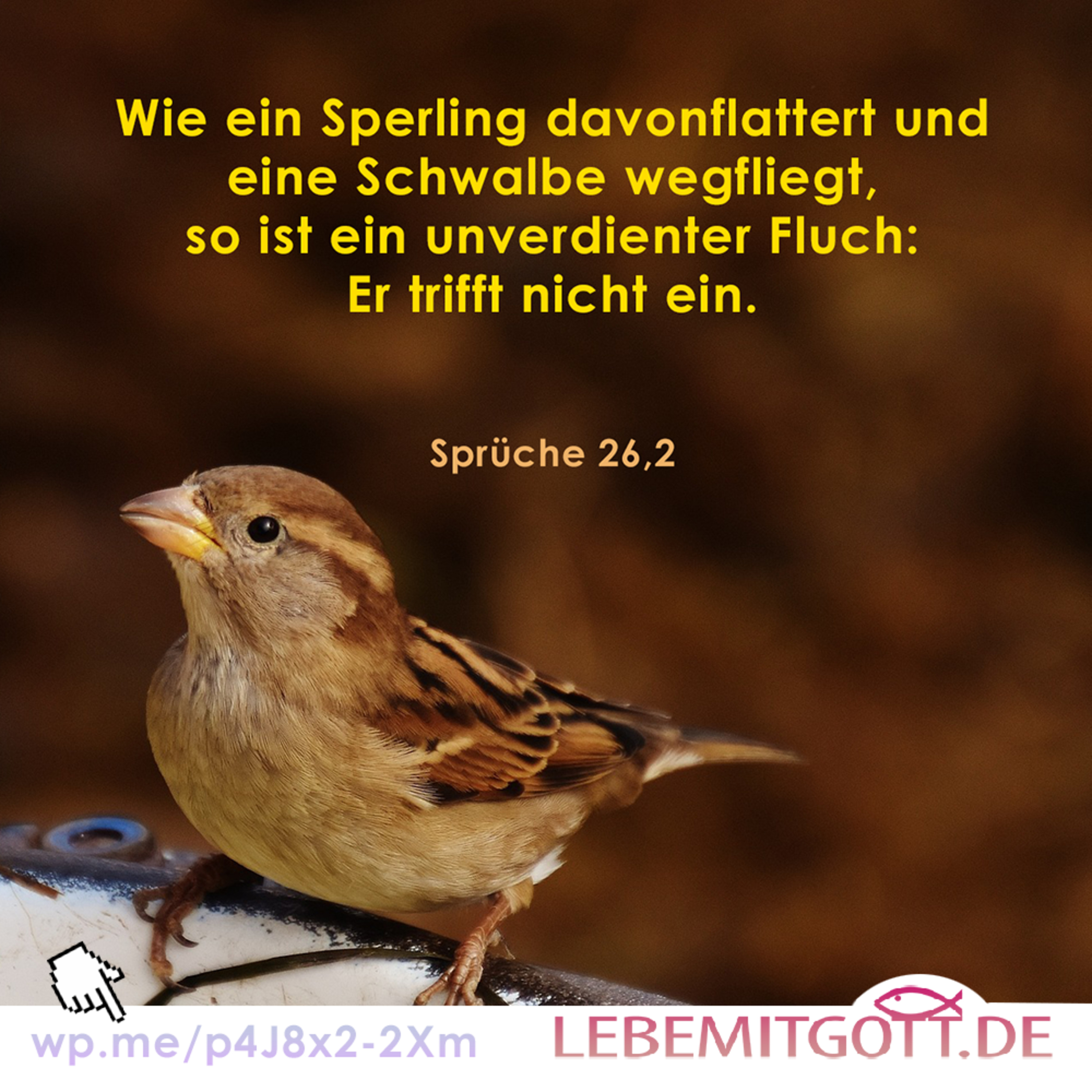 Lebe mit Gott * Andachten